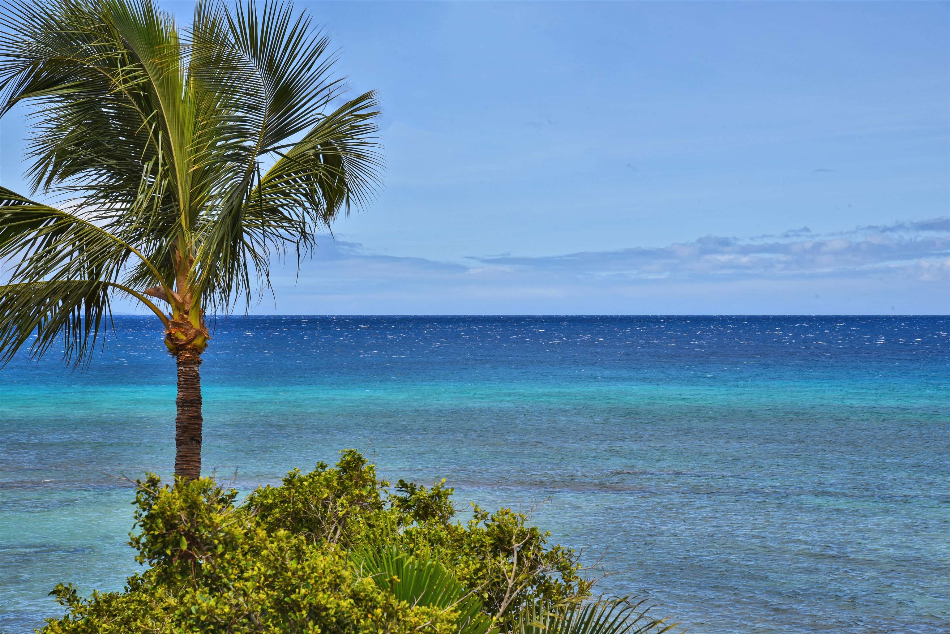 3875 Lower Honoapiilani Rd Property Photo 37