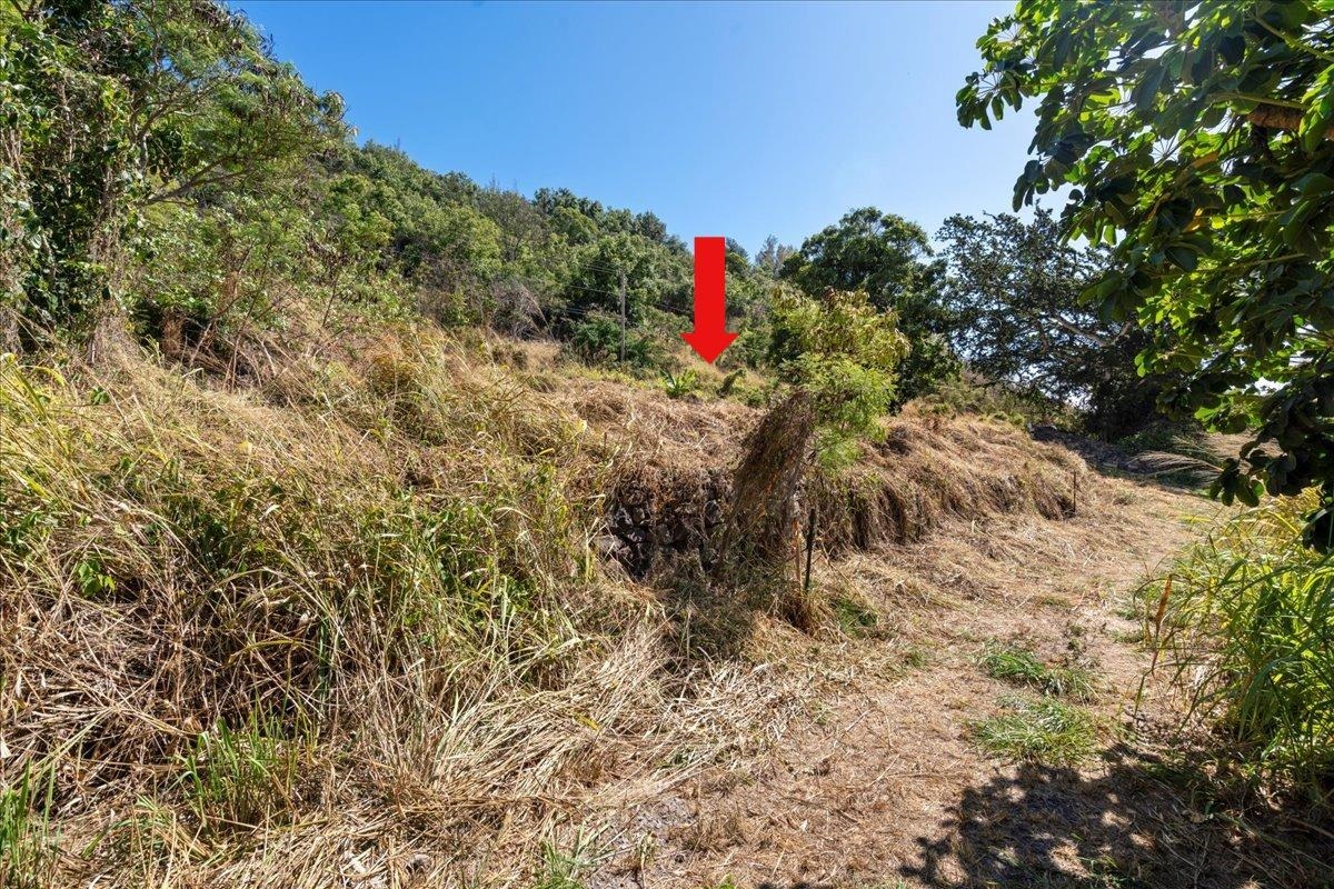 182 River Rd Property Photo 14
