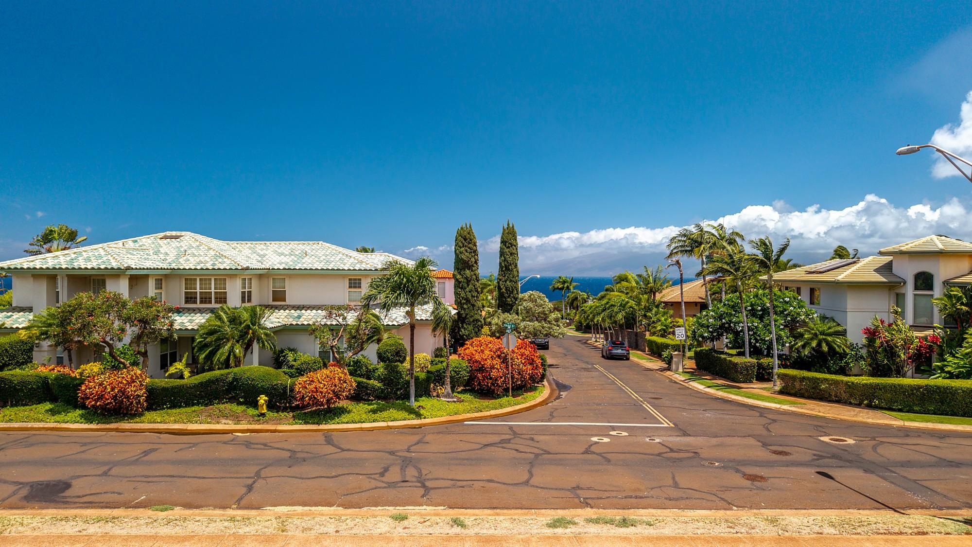 51 Pihaa St Property Photo 2