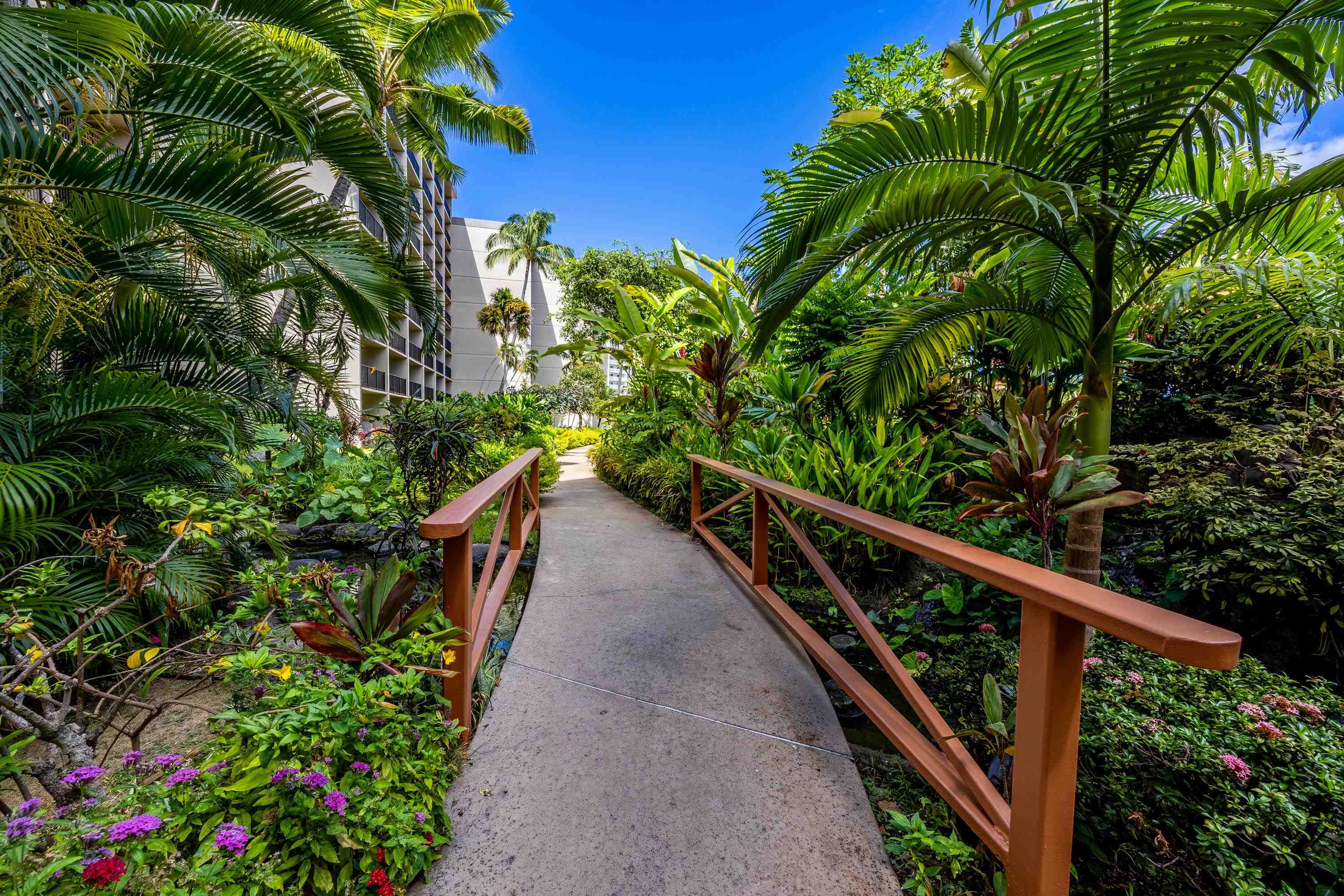 3445 Lower Honoapiilani Rd Property Photo 29