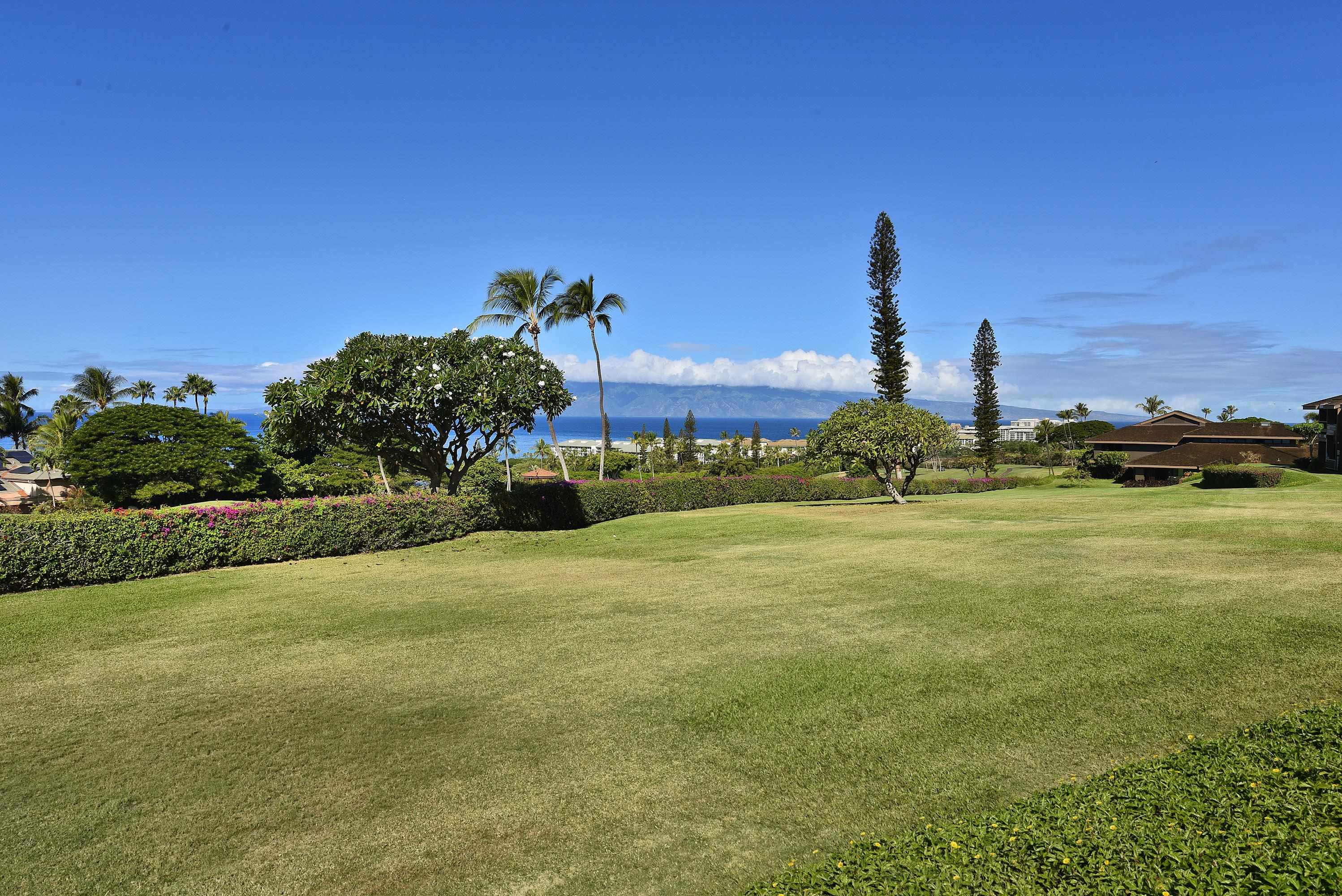 50 Puu Anoano St Property Photo 6
