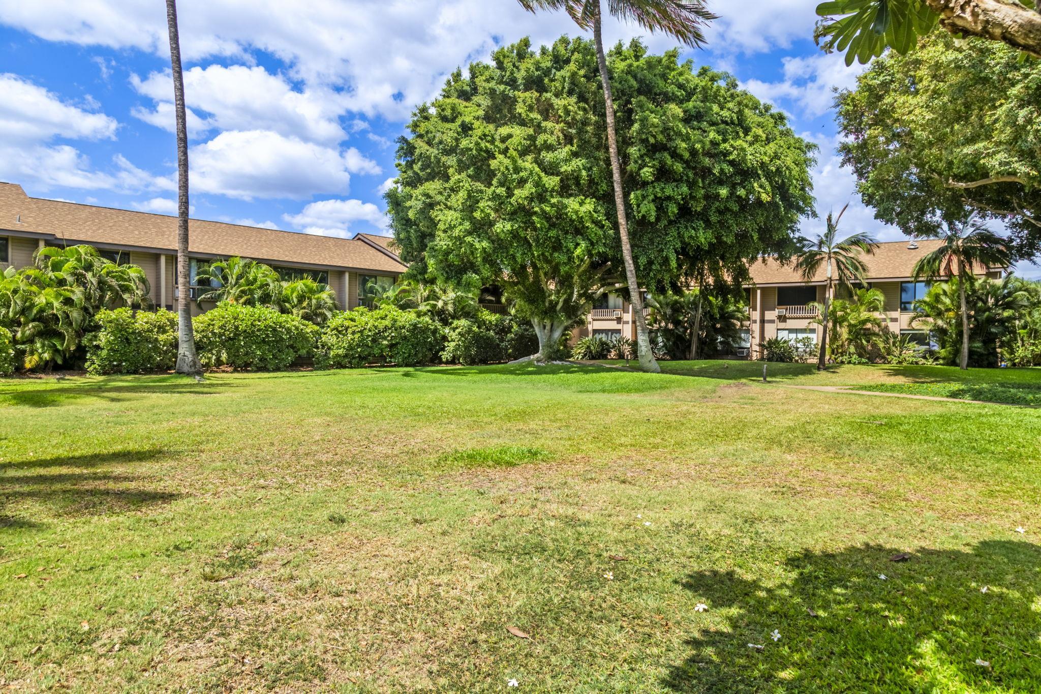 15 Kulanihakoi St Property Photo 45