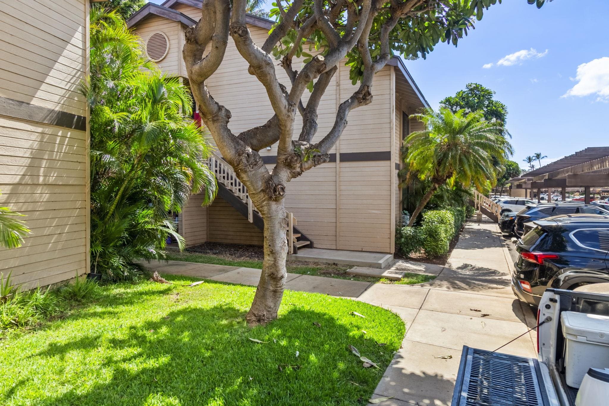 15 Kulanihakoi St Property Photo 48