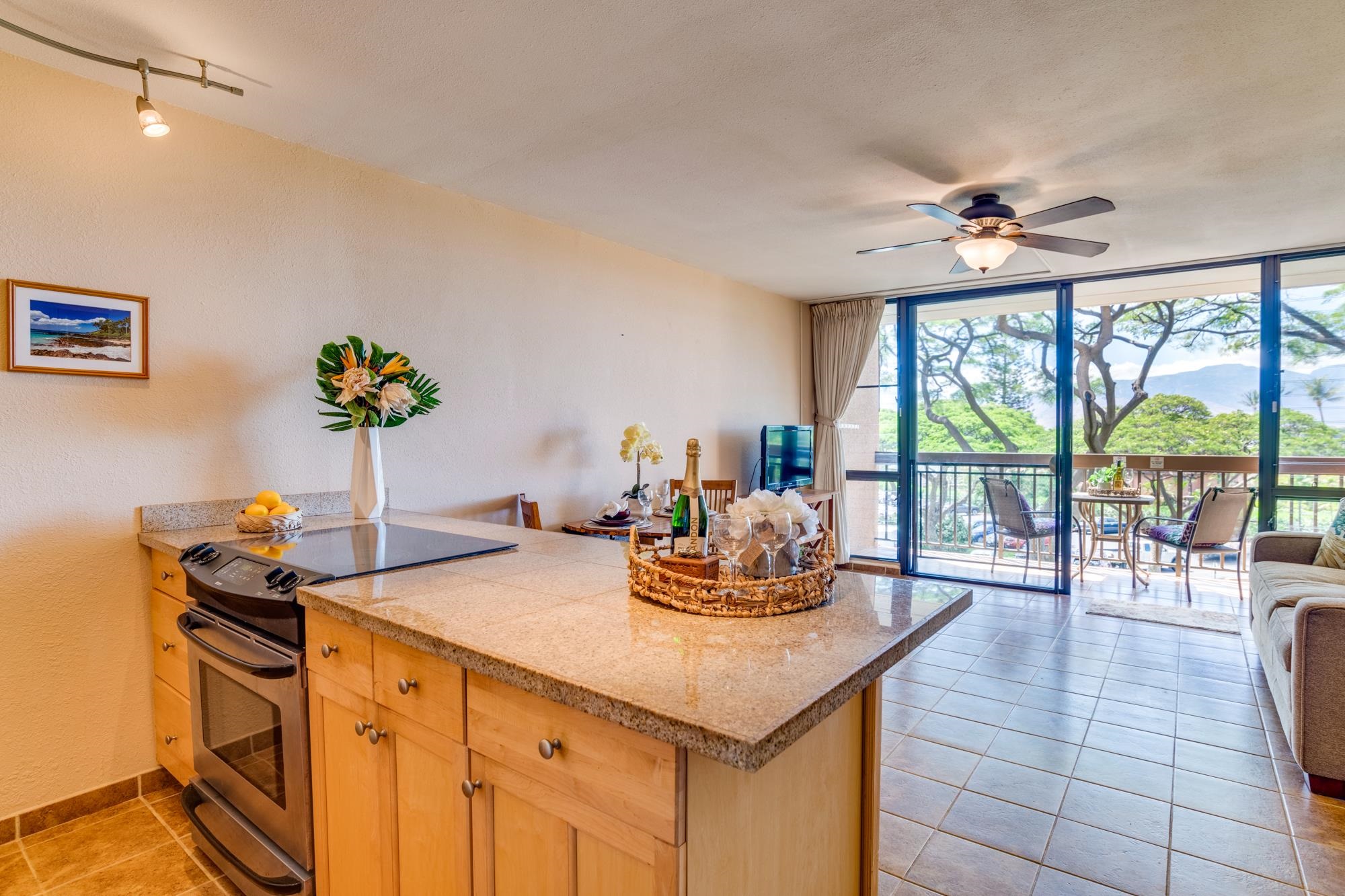 2191 S Kihei Rd Property Photo 6