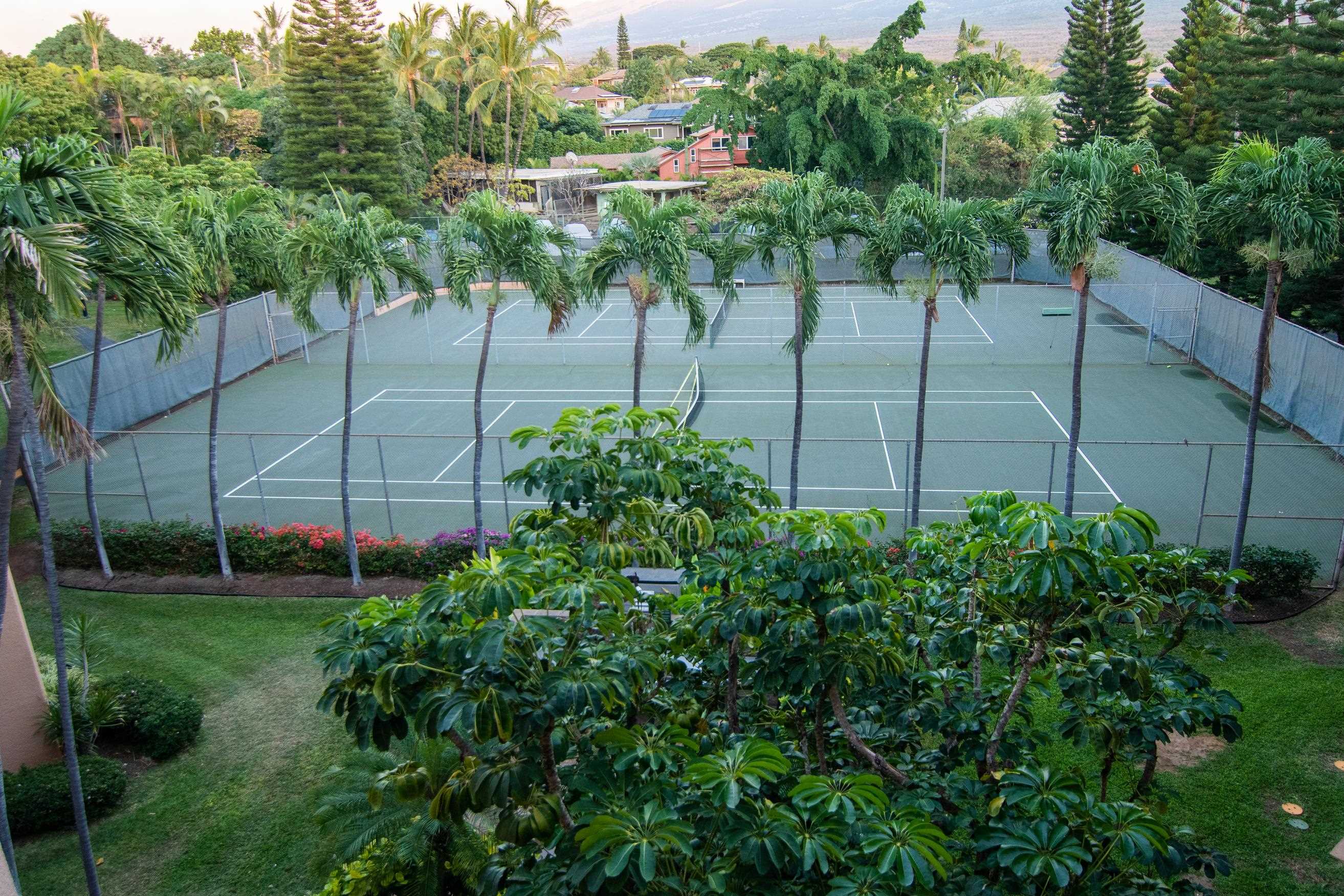 2191 S Kihei Rd Property Photo 22