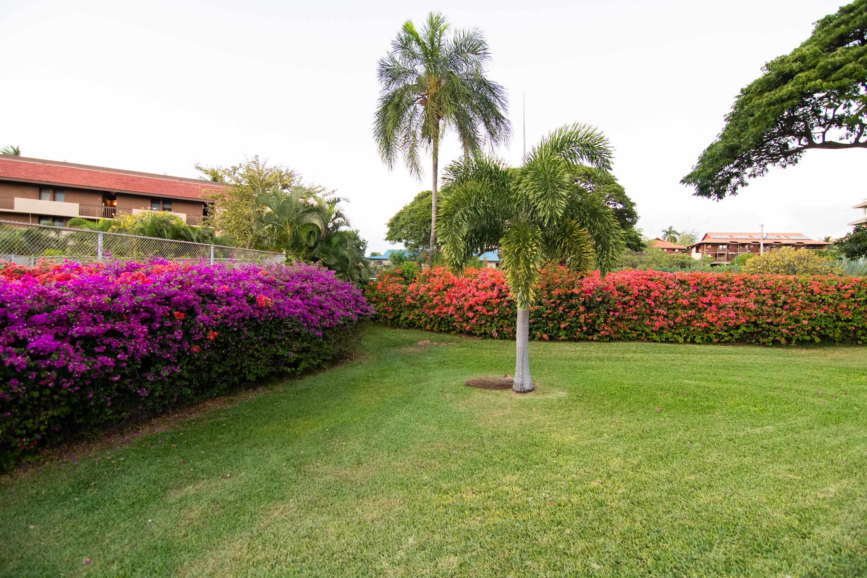 2191 S Kihei Rd Property Photo 29