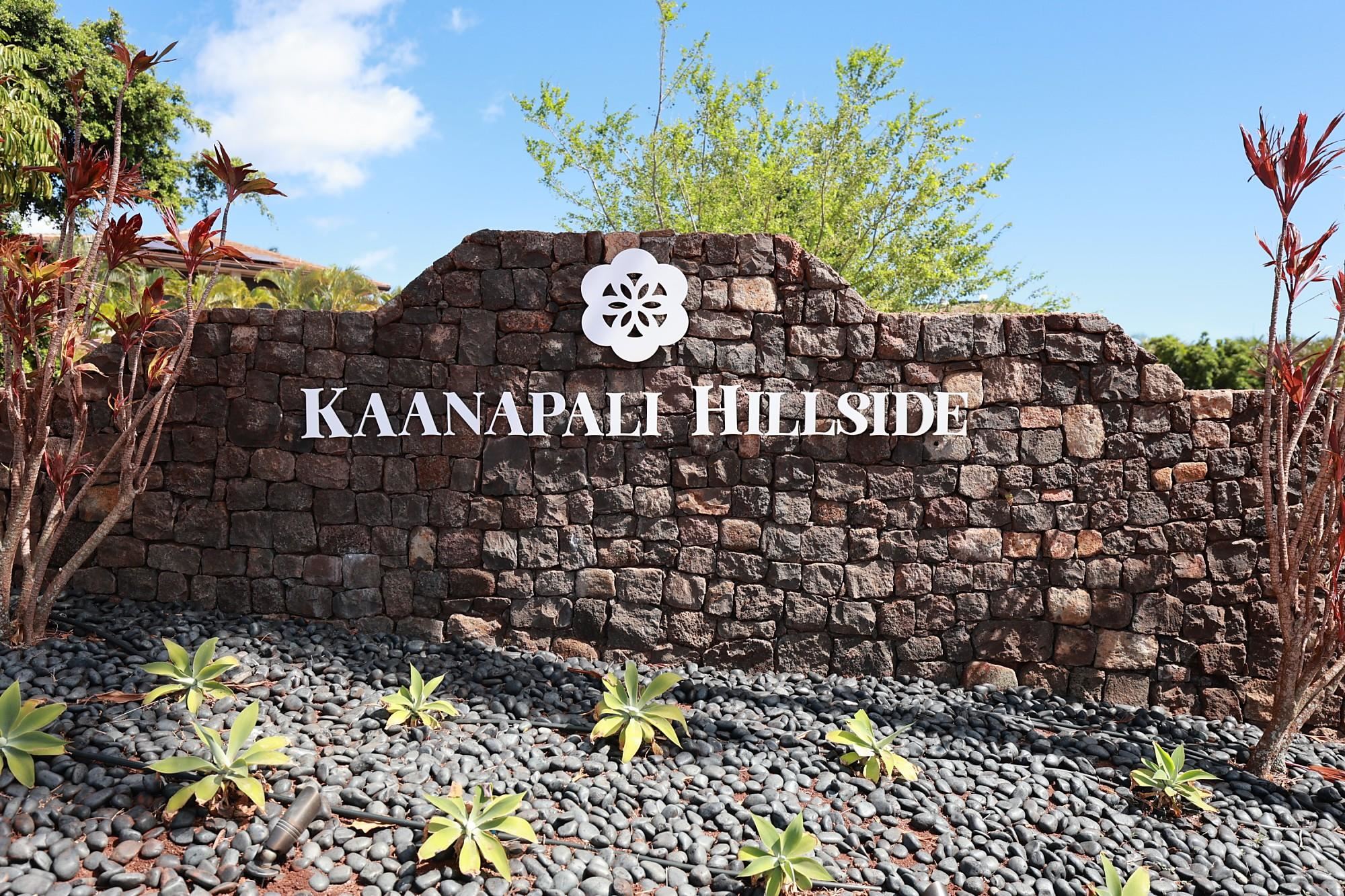 81 S Piki Pl Property Photo 45