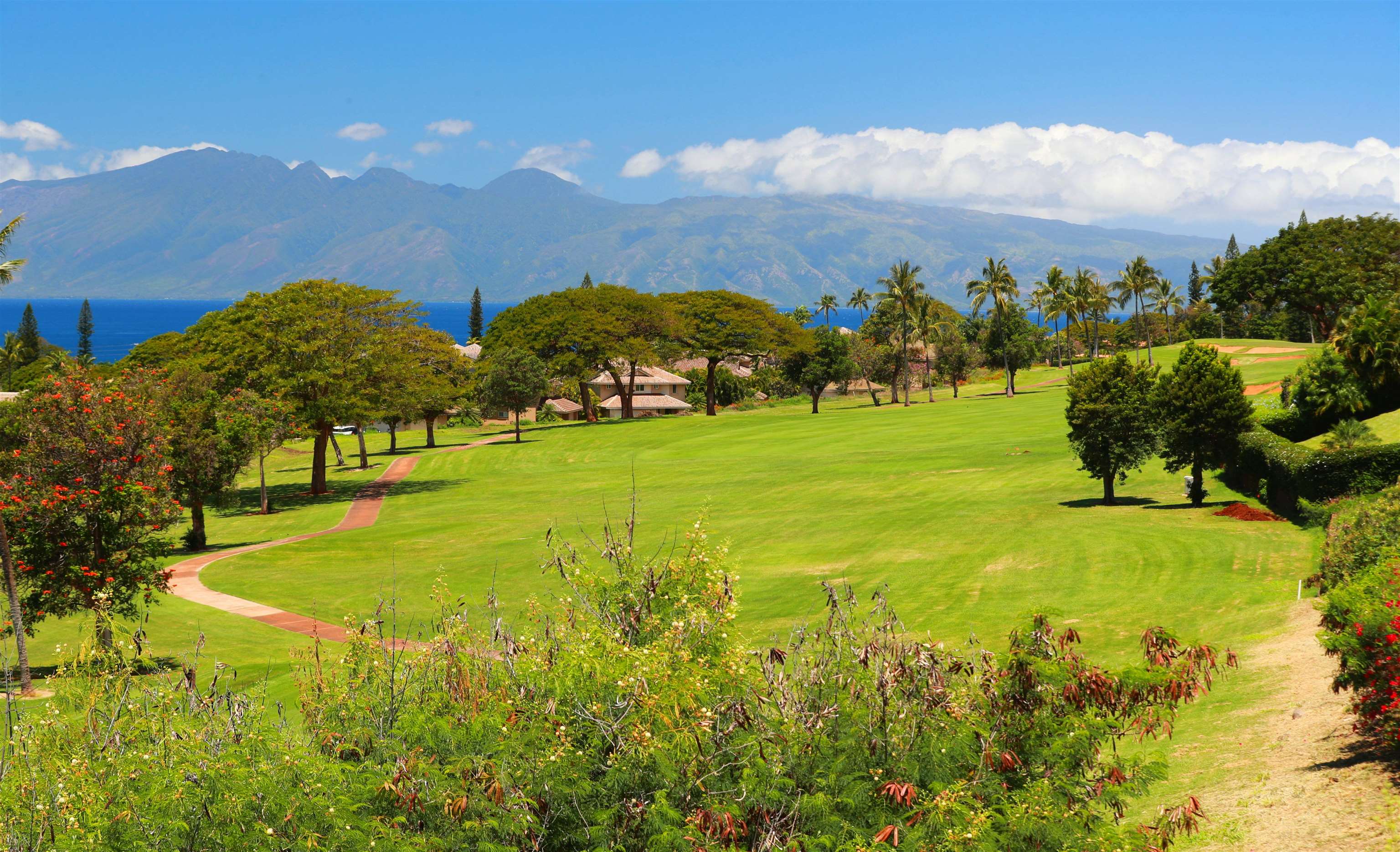 81 S Piki Pl Property Photo 48