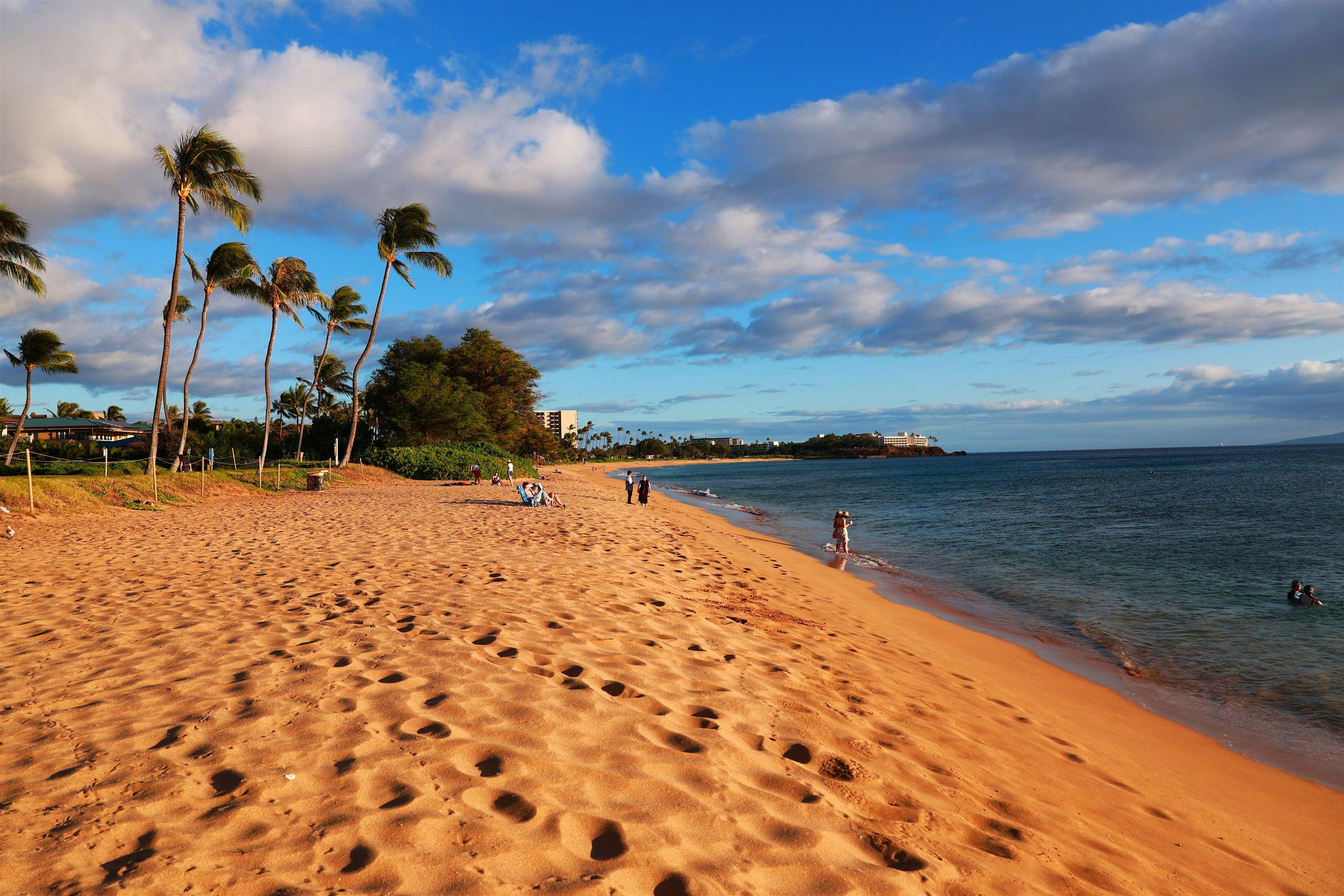 81 S Piki Pl Property Photo 49