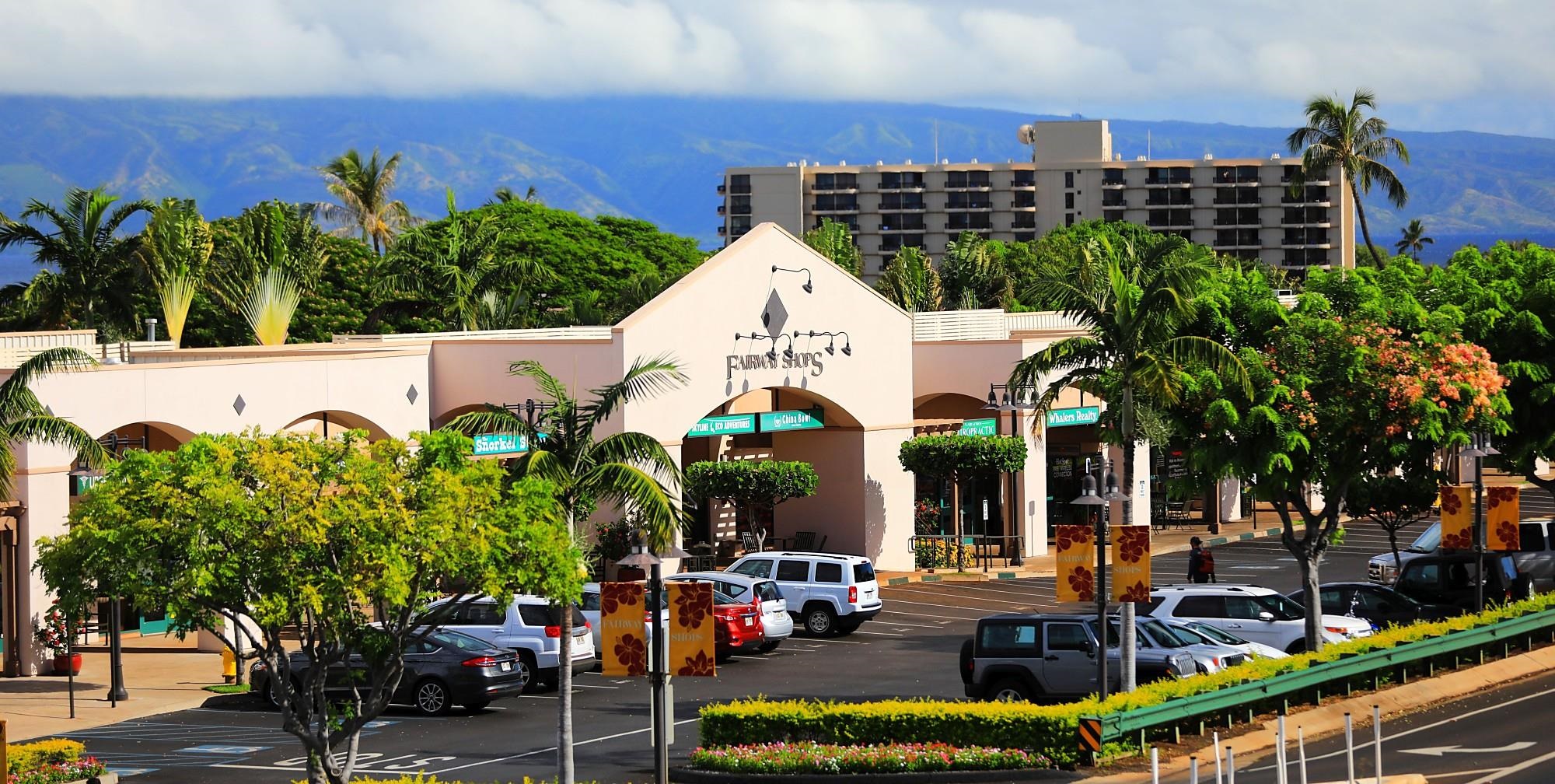 81 S Piki Pl Property Photo 50