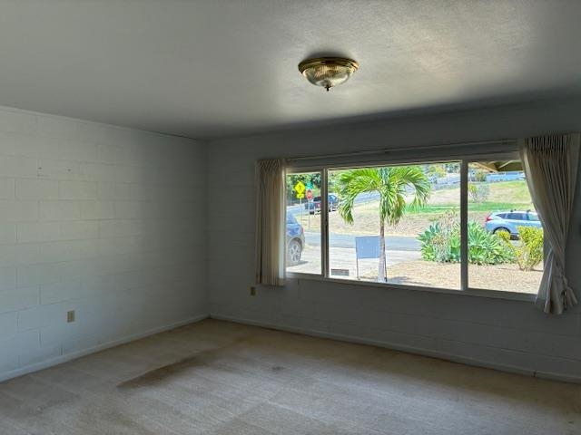 364 Haulani St Property Photo 34