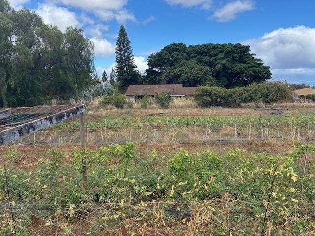 364 Haulani St Property Photo 38
