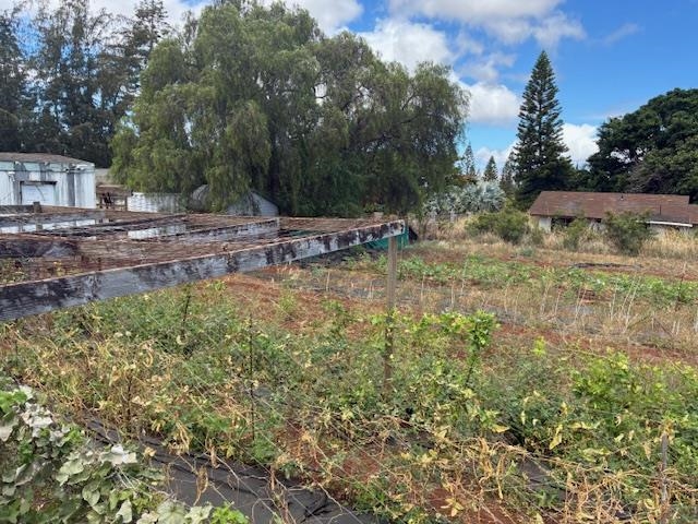 364 Haulani St Property Photo 39