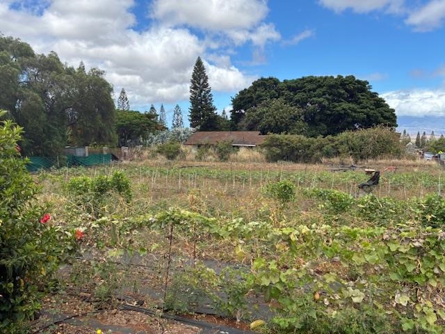 364 Haulani St Property Photo 40