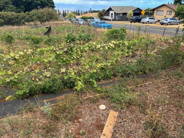 364 Haulani St Property Photo 42