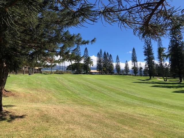 364 Haulani St Property Photo 46