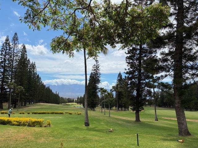 364 Haulani St Property Photo 48