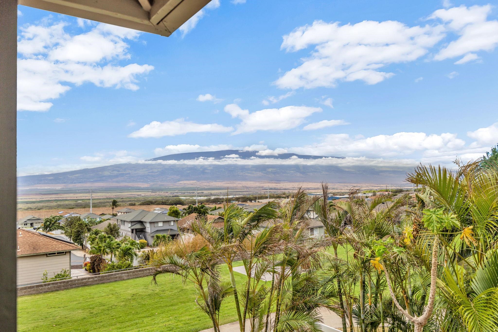 801 Haawi St Property Photo 1