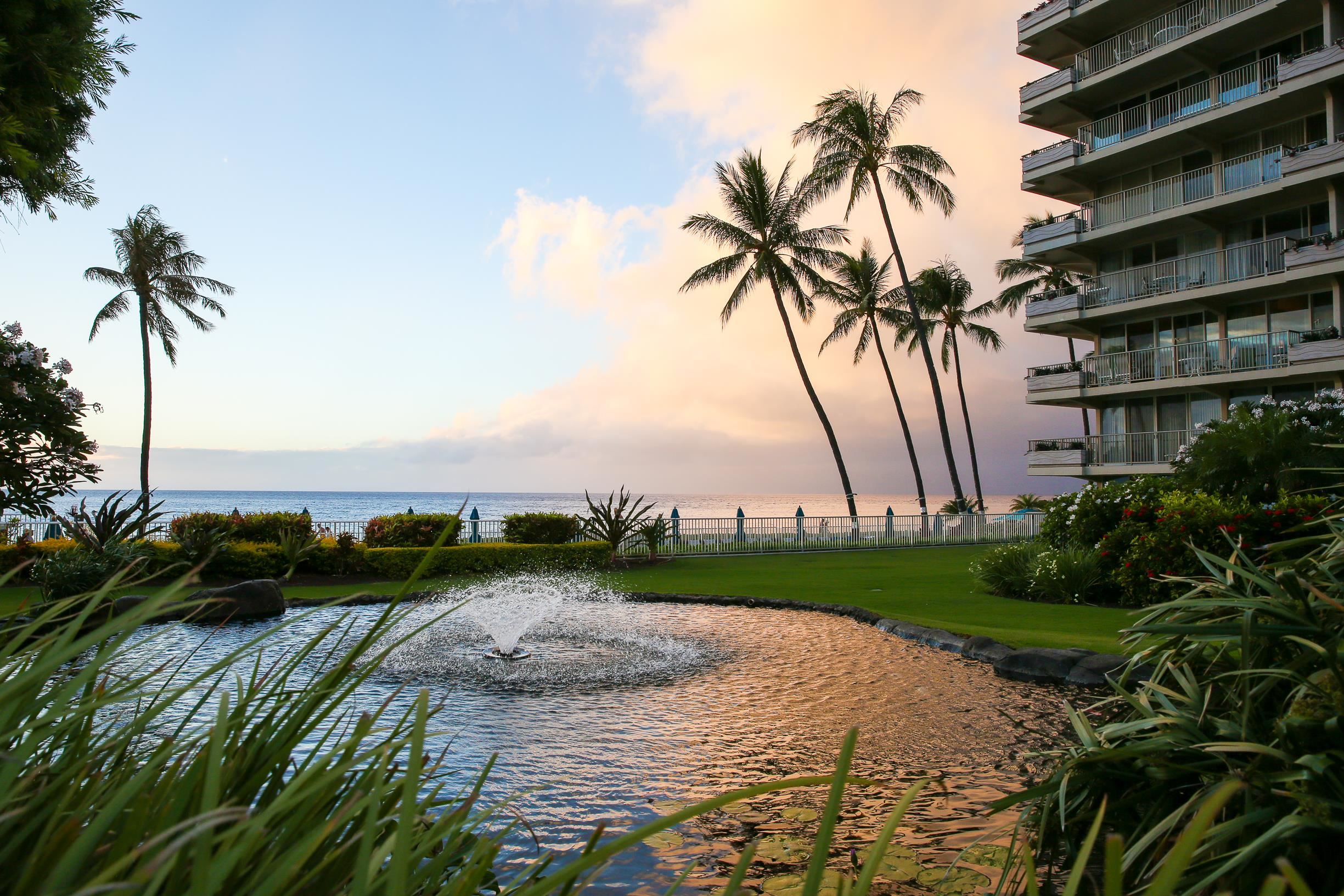 2481 Kaanapali Pkwy Property Photo 28