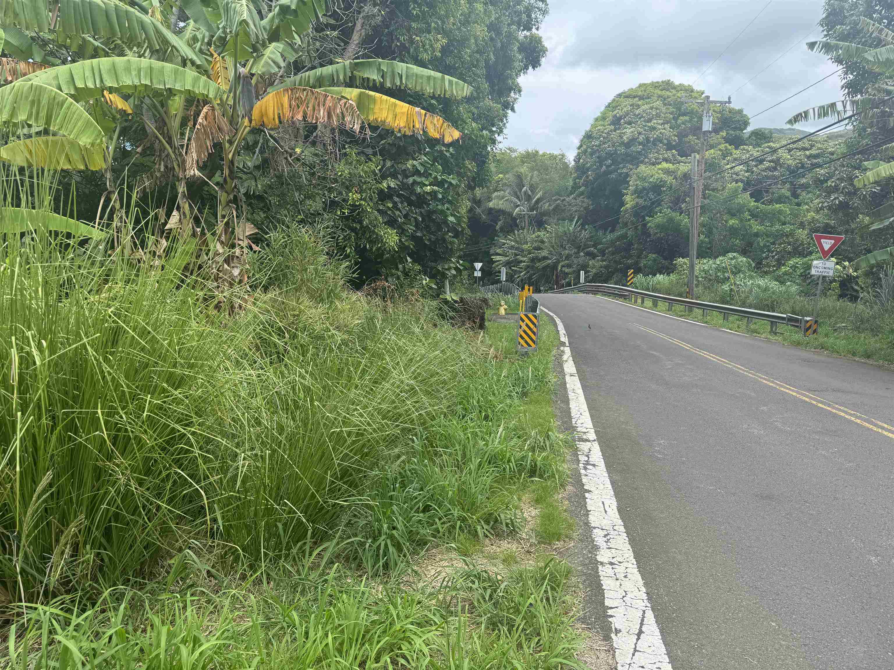 000 Kamehameha V Hwy Property Photo 2