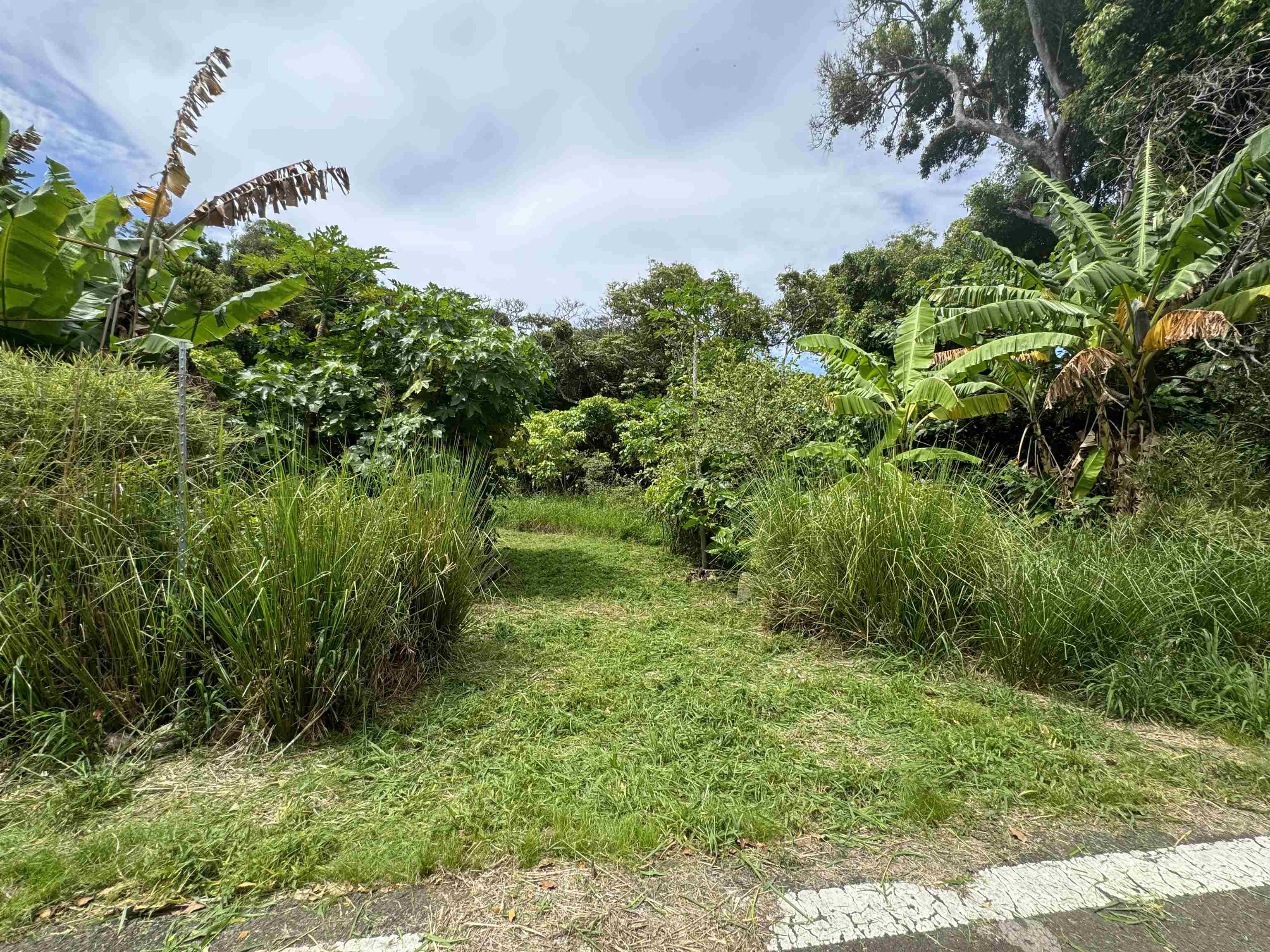 000 Kamehameha V Hwy Property Photo 3