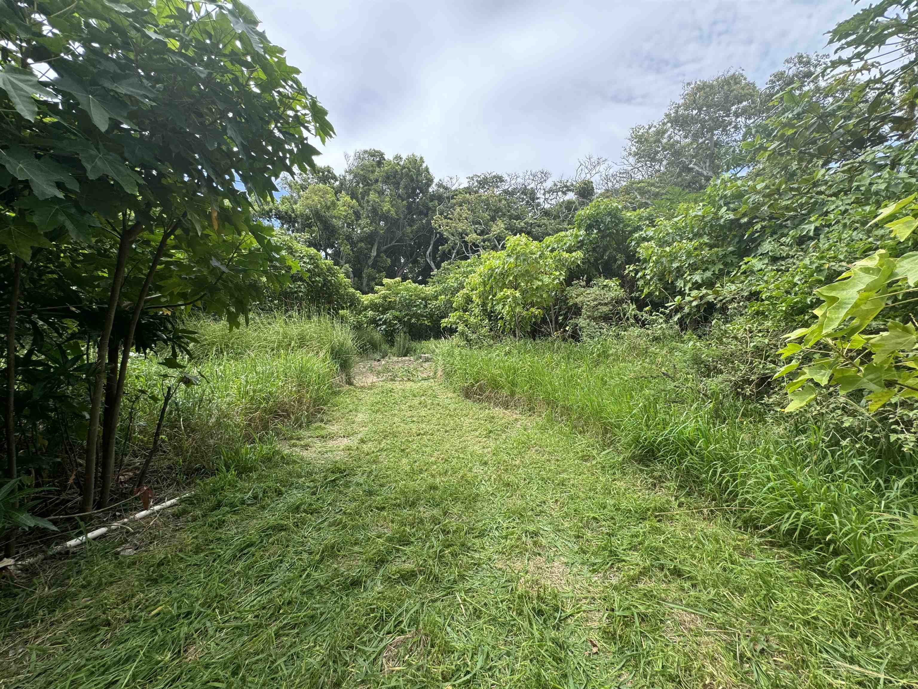 000 Kamehameha V Hwy Property Photo 4