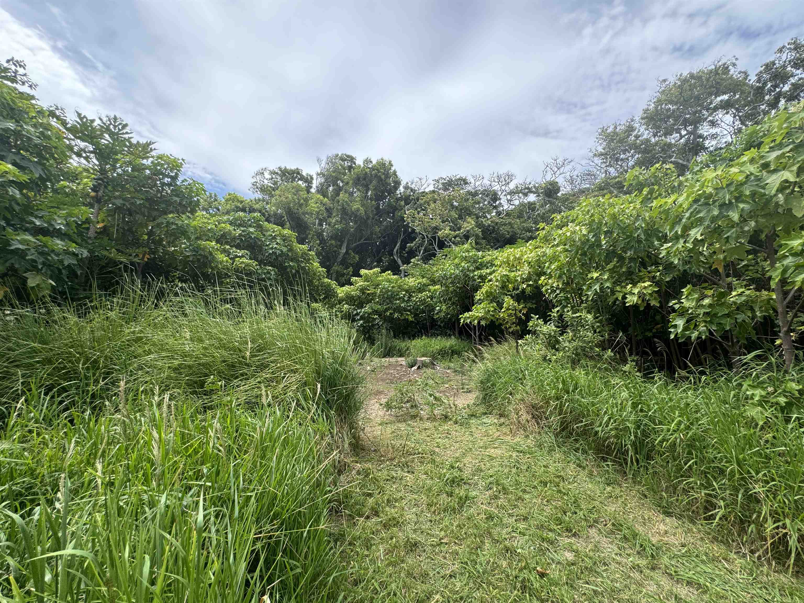 000 Kamehameha V Hwy Property Photo 5