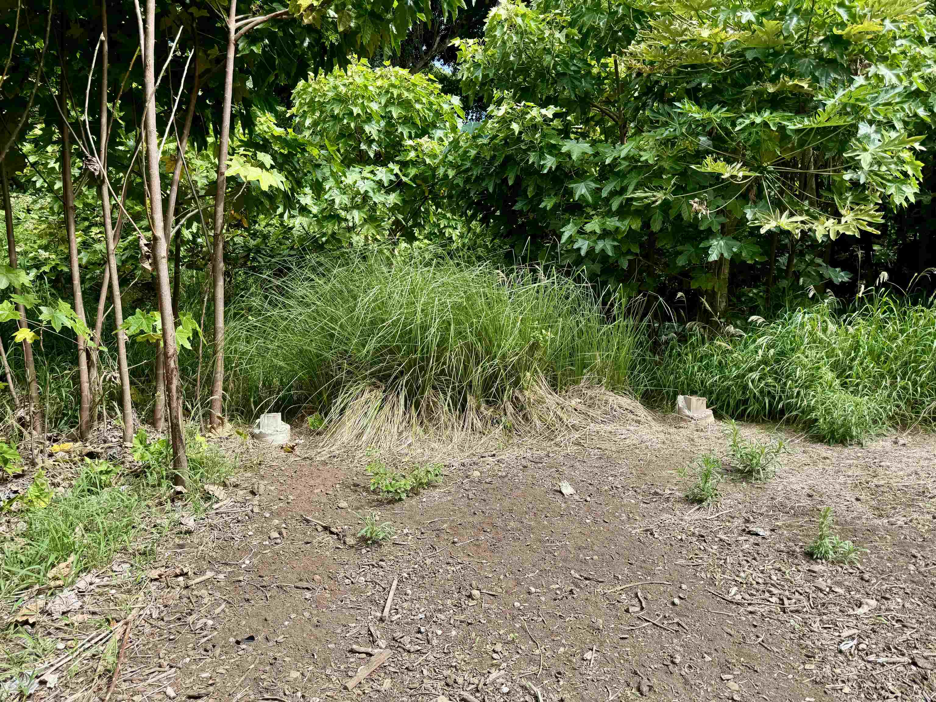 000 Kamehameha V Hwy Property Photo 6