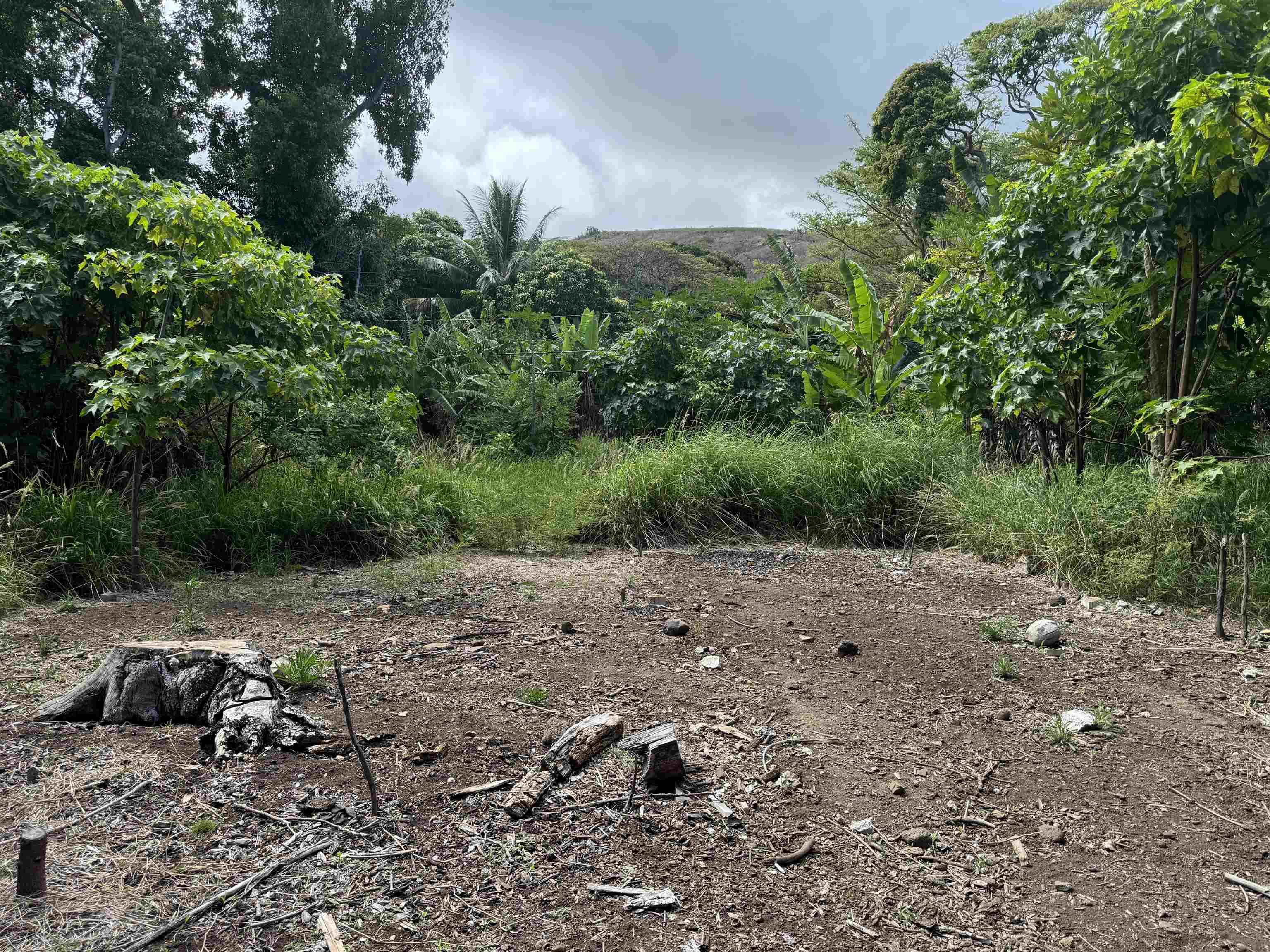 000 Kamehameha V Hwy Property Photo 8