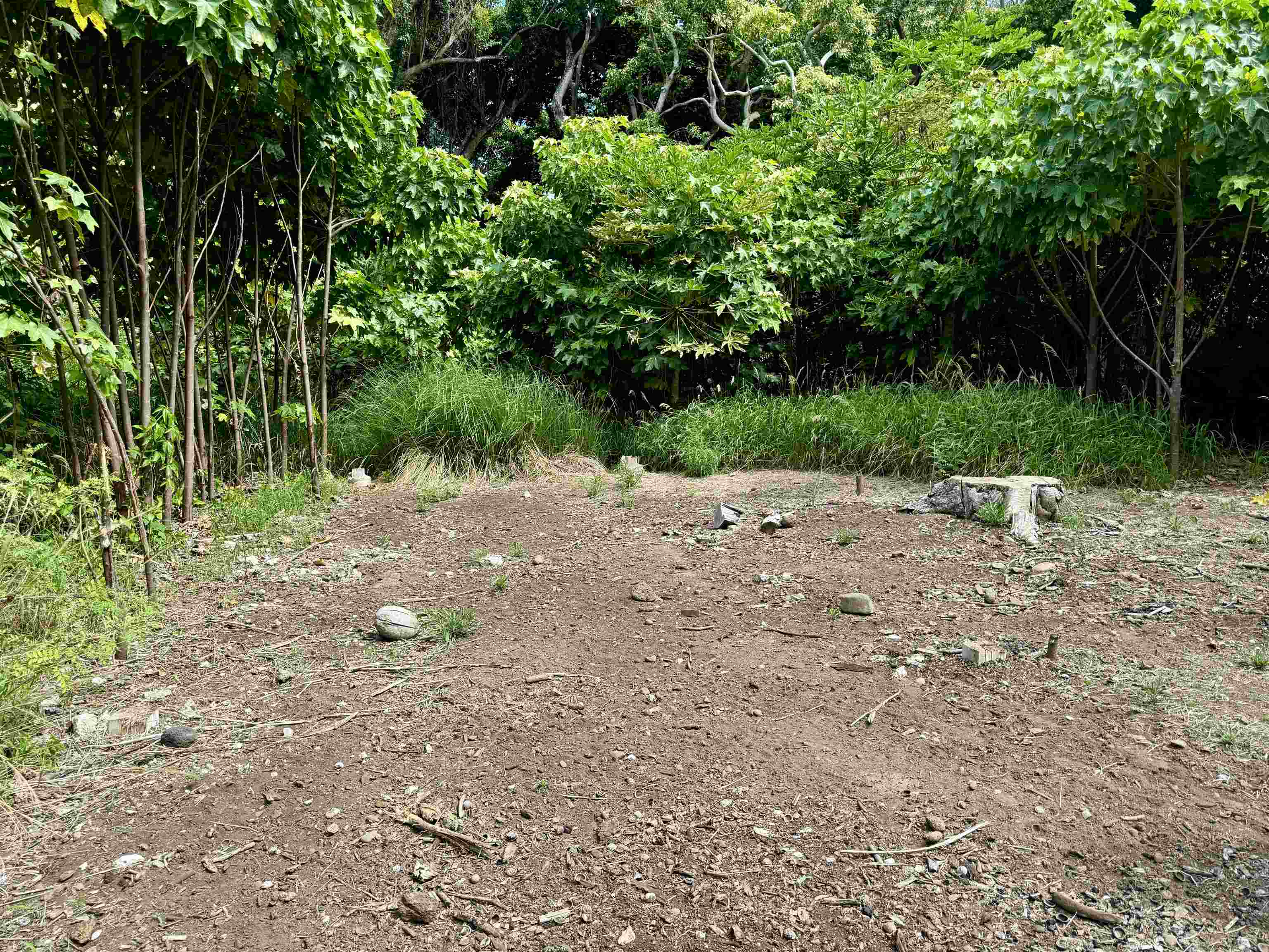 000 Kamehameha V Hwy Property Photo 9