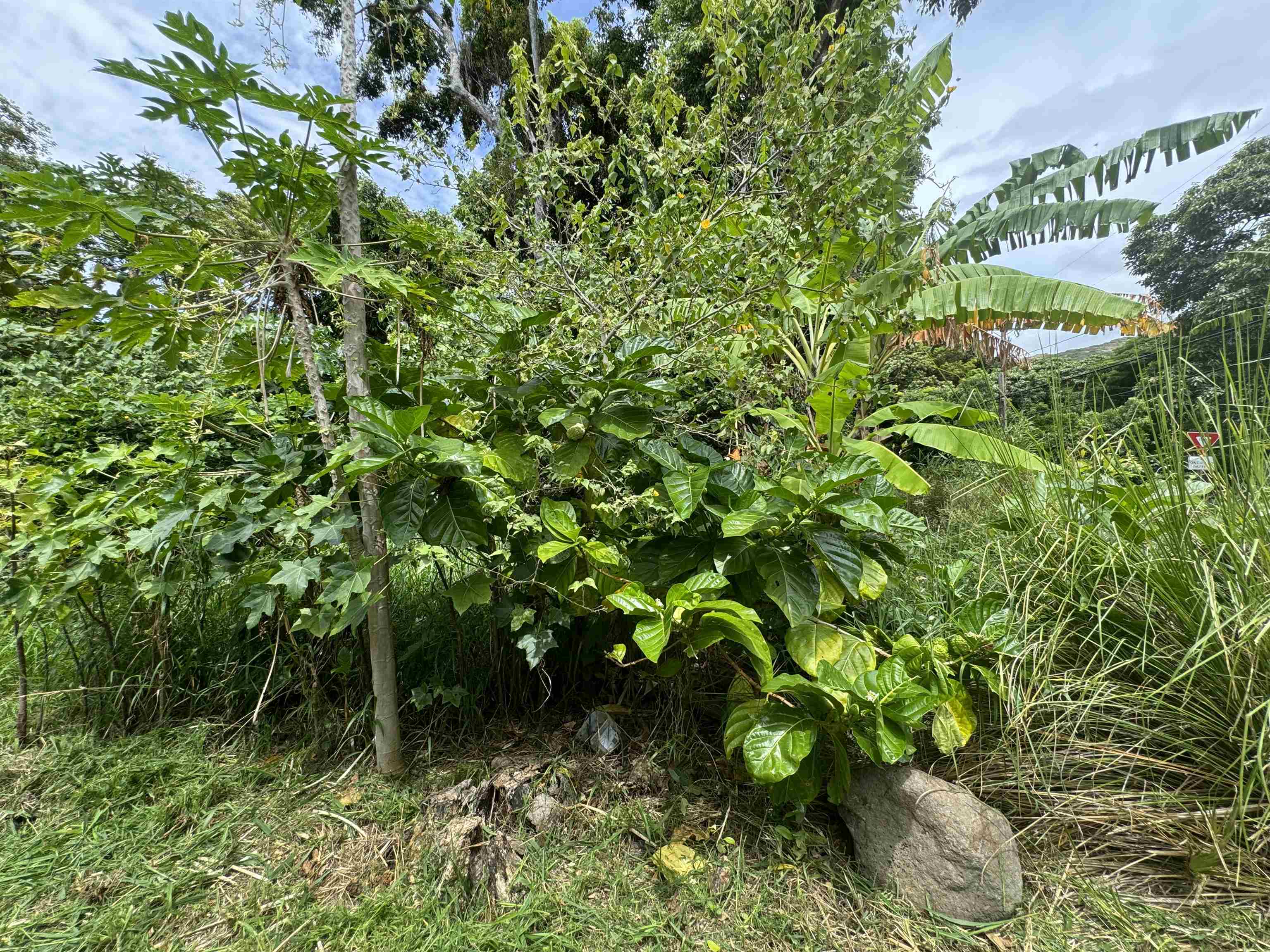 000 Kamehameha V Hwy Property Photo 11