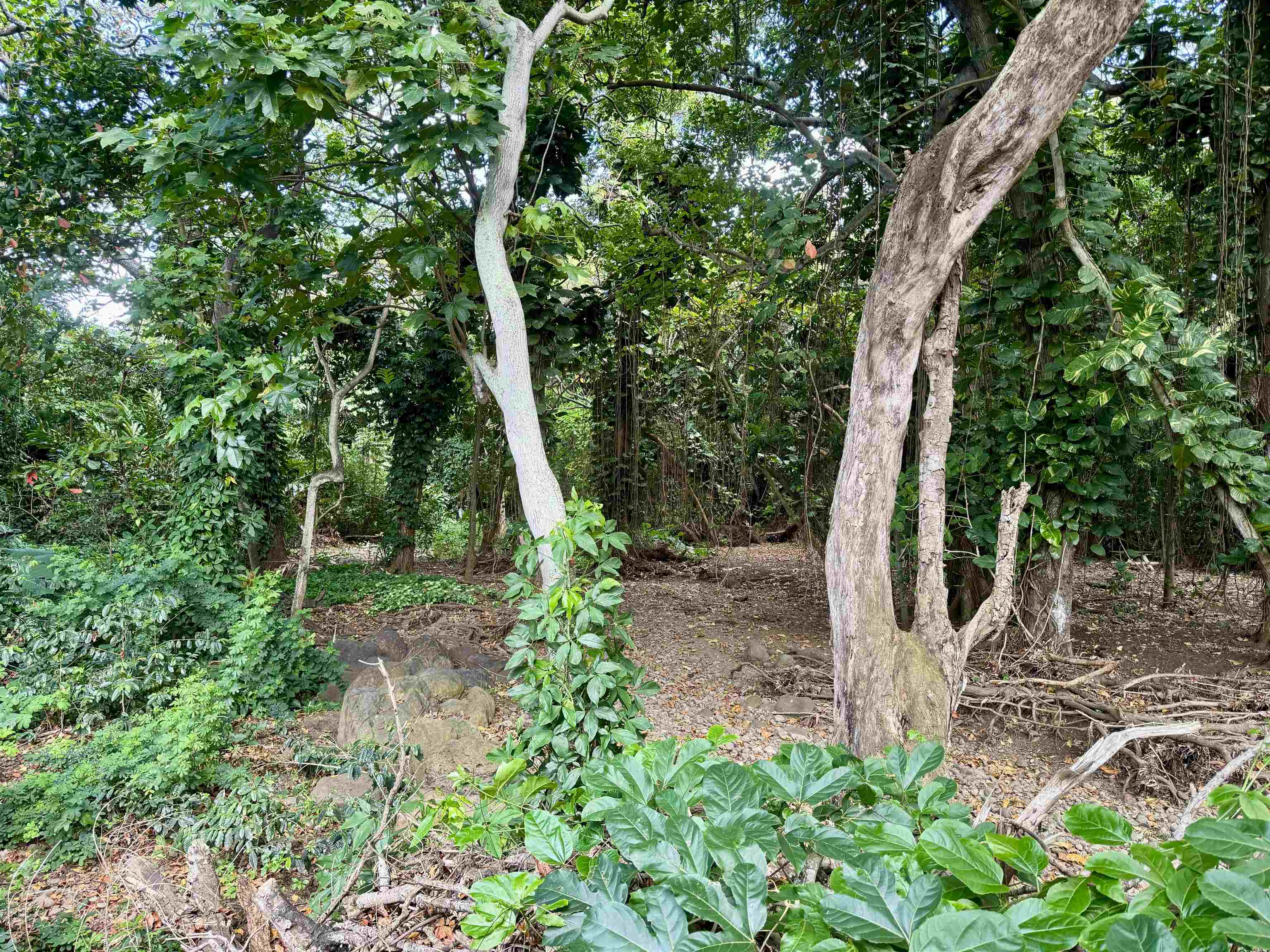 000 Kamehameha V Hwy Property Photo 14