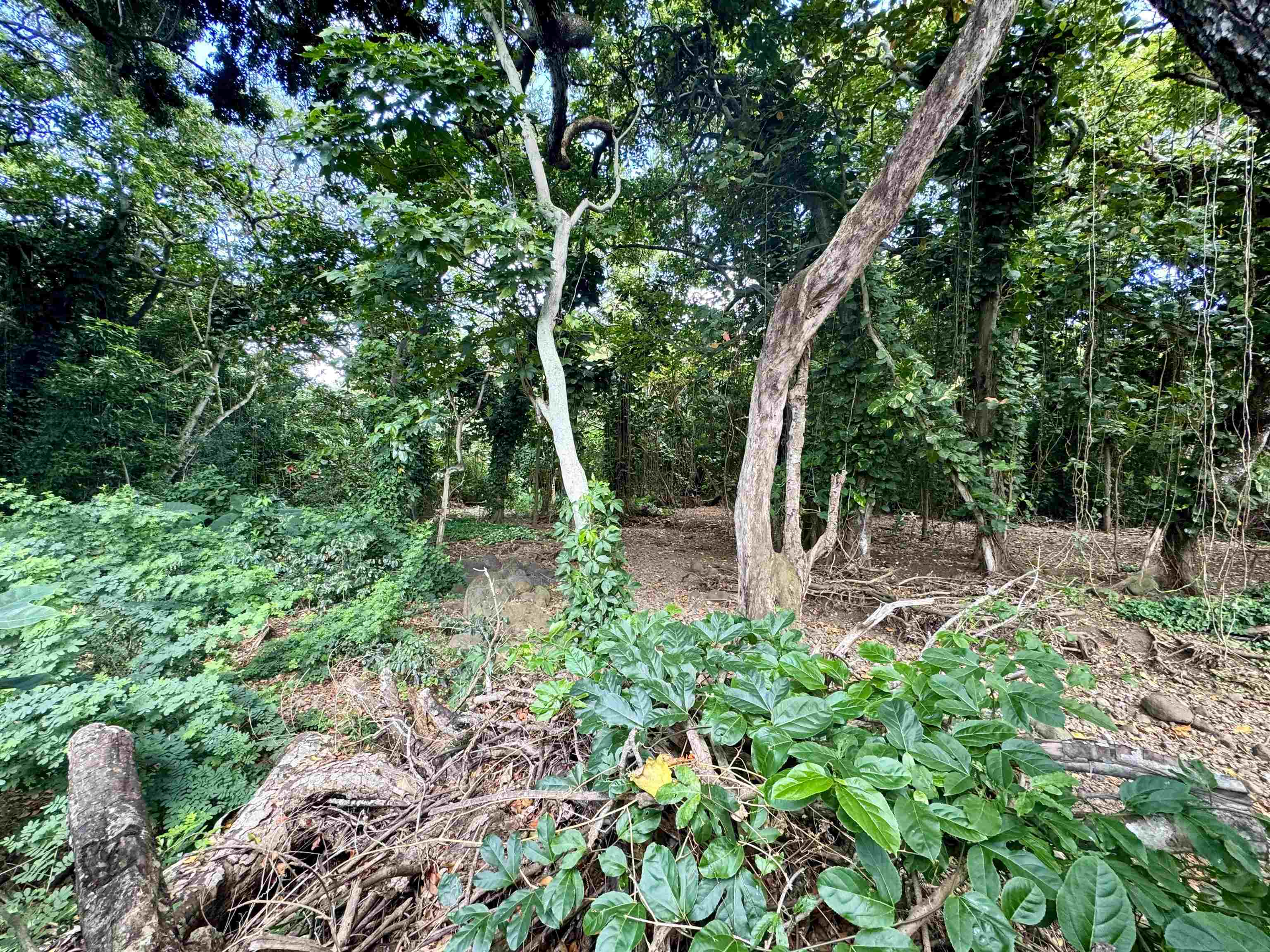 000 Kamehameha V Hwy Property Photo 15