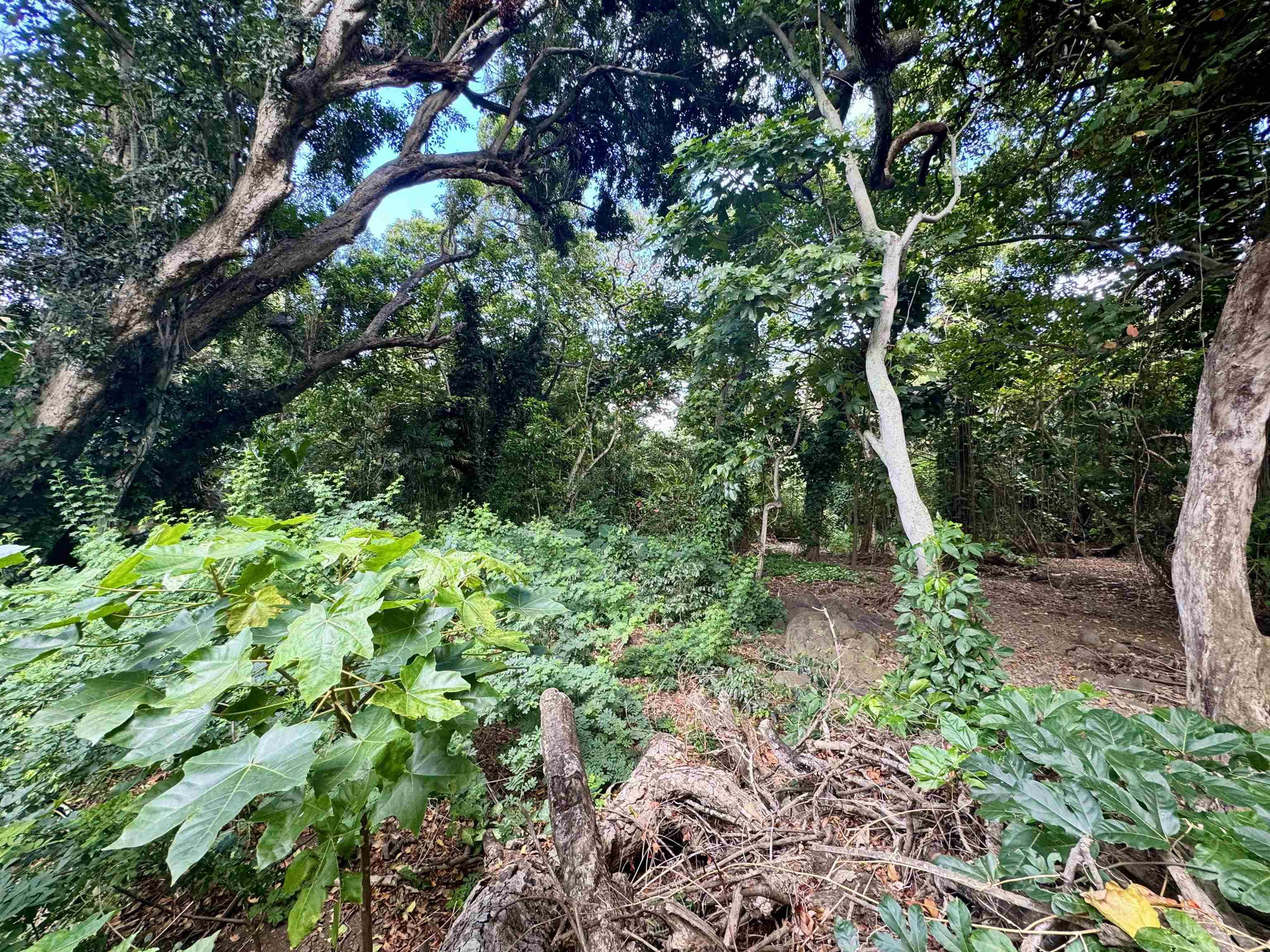 000 Kamehameha V Hwy Property Photo 16