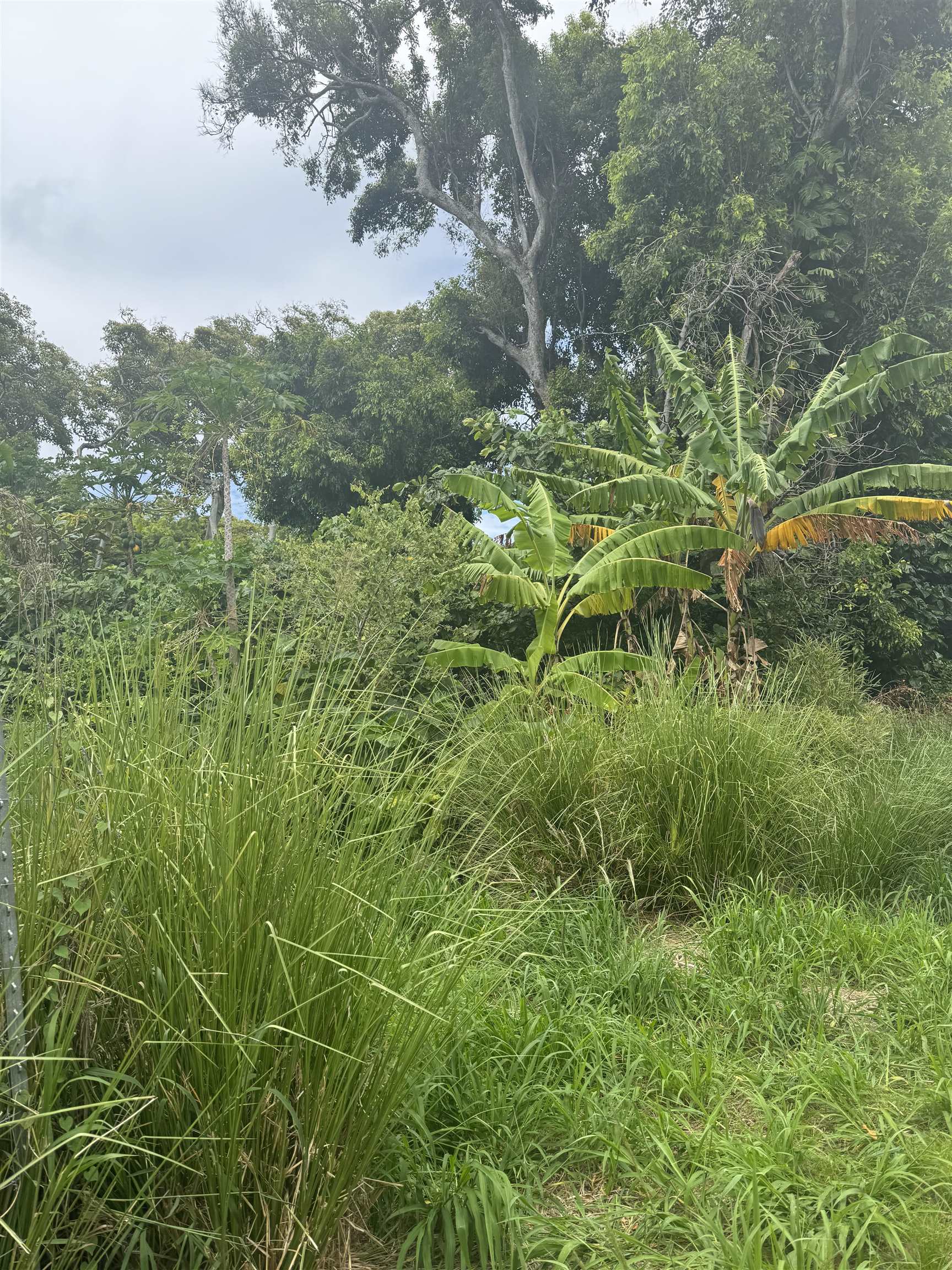 000 Kamehameha V Hwy Property Photo 18