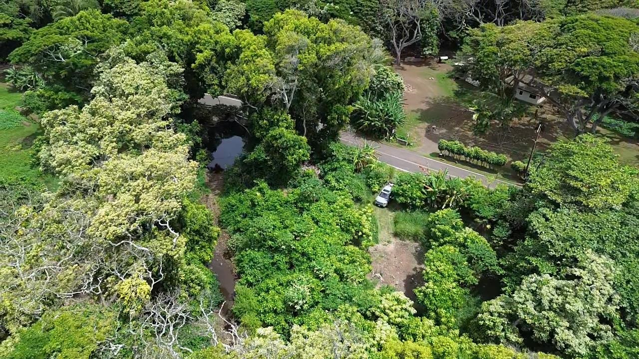000 Kamehameha V Hwy Property Photo 19