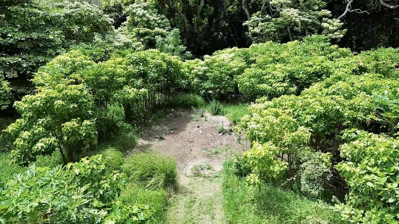 000 Kamehameha V Hwy Property Photo 20