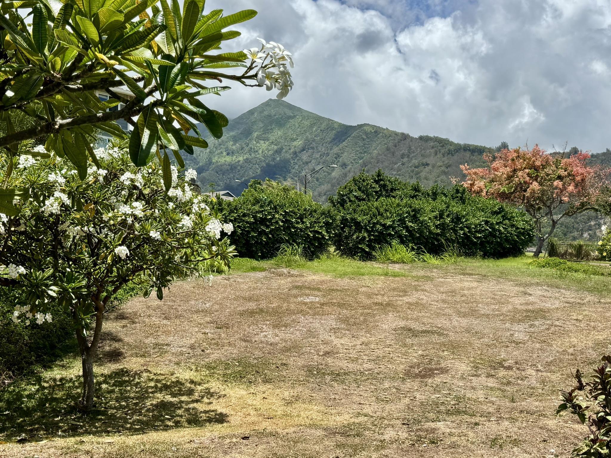 143 Hoowaiwai Loop Property Photo 36