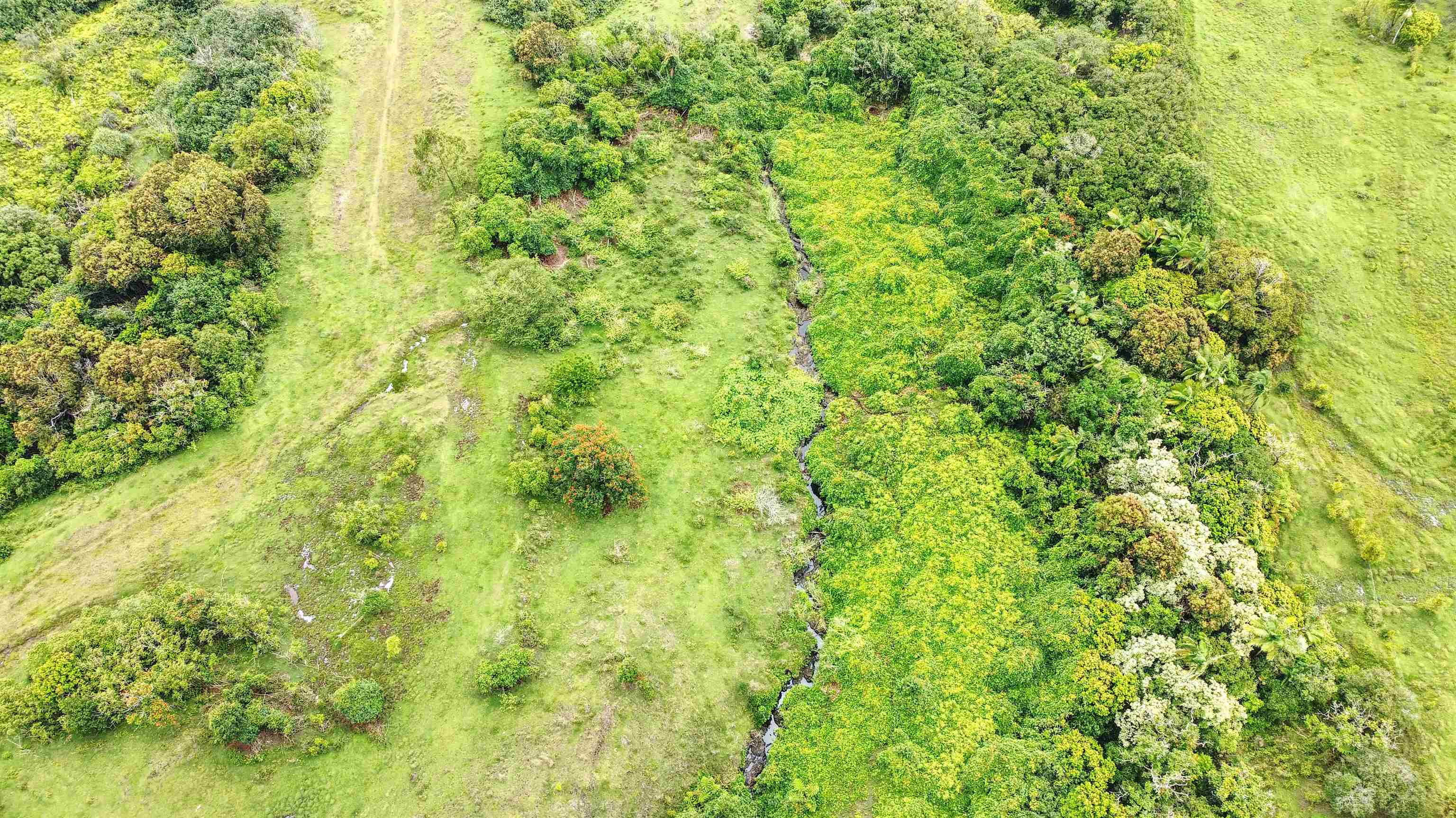 973 Hana Hwy Property Photo 4