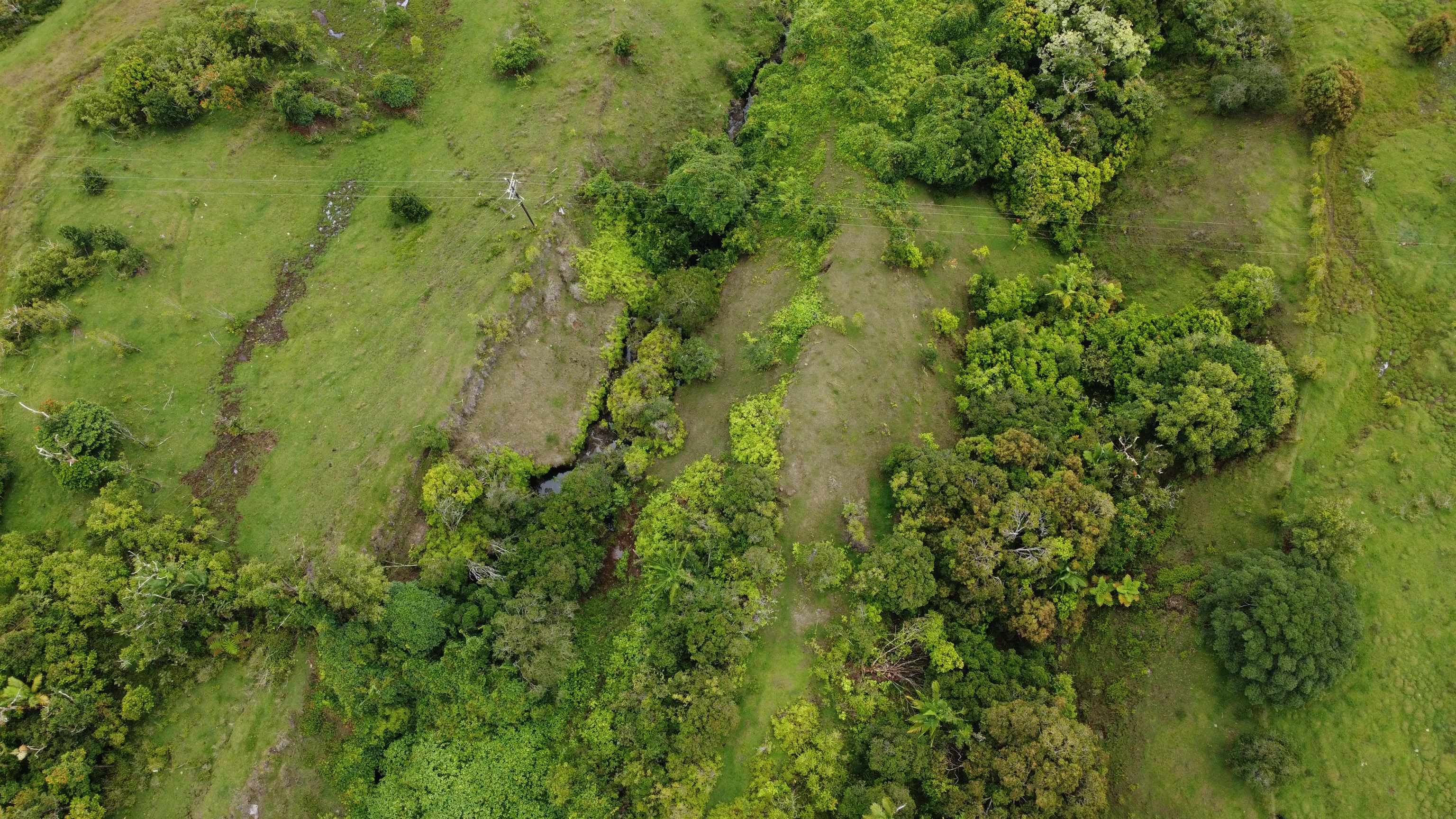 973 Hana Hwy Property Photo 6