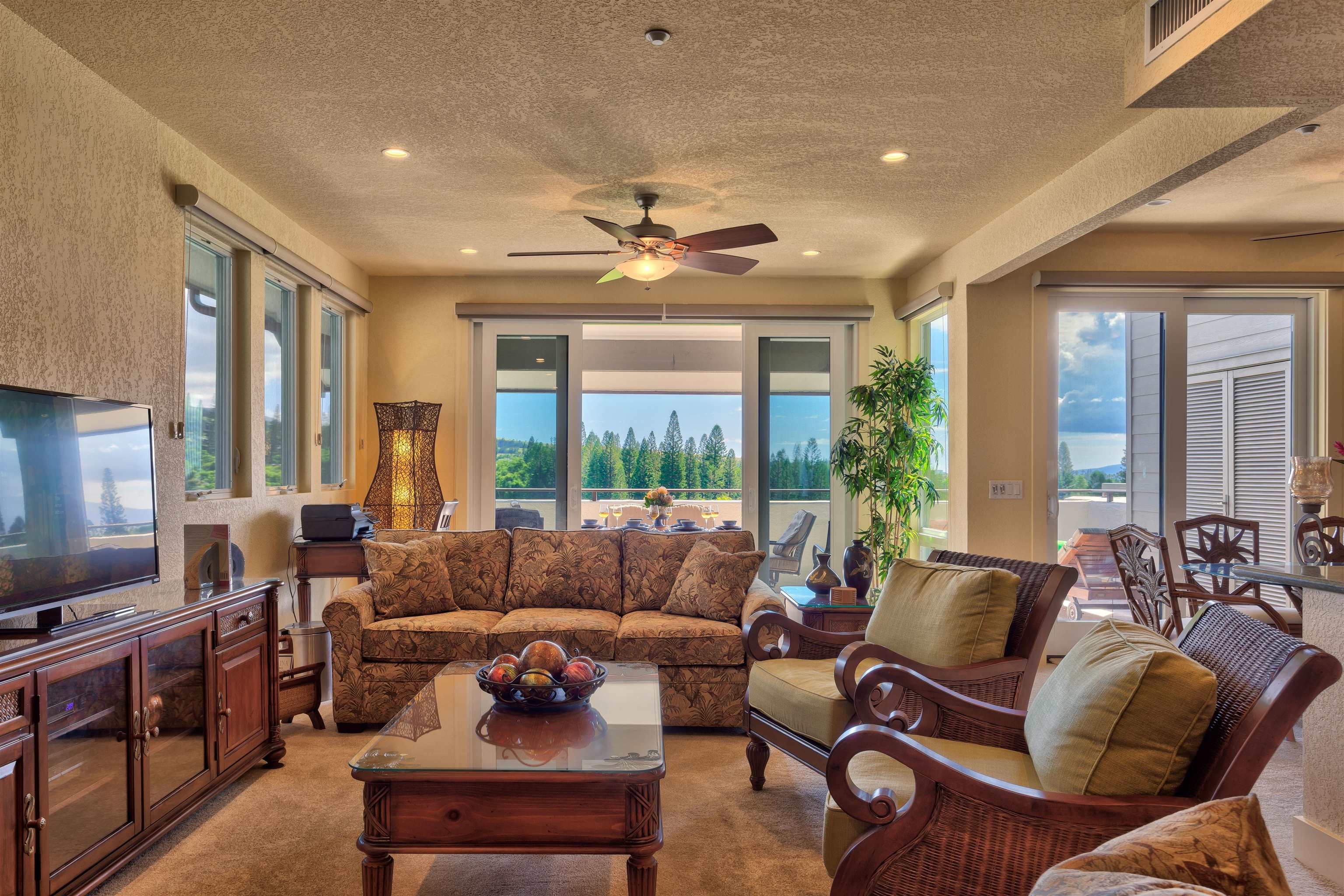 500 Kapalua Dr Property Photo 3