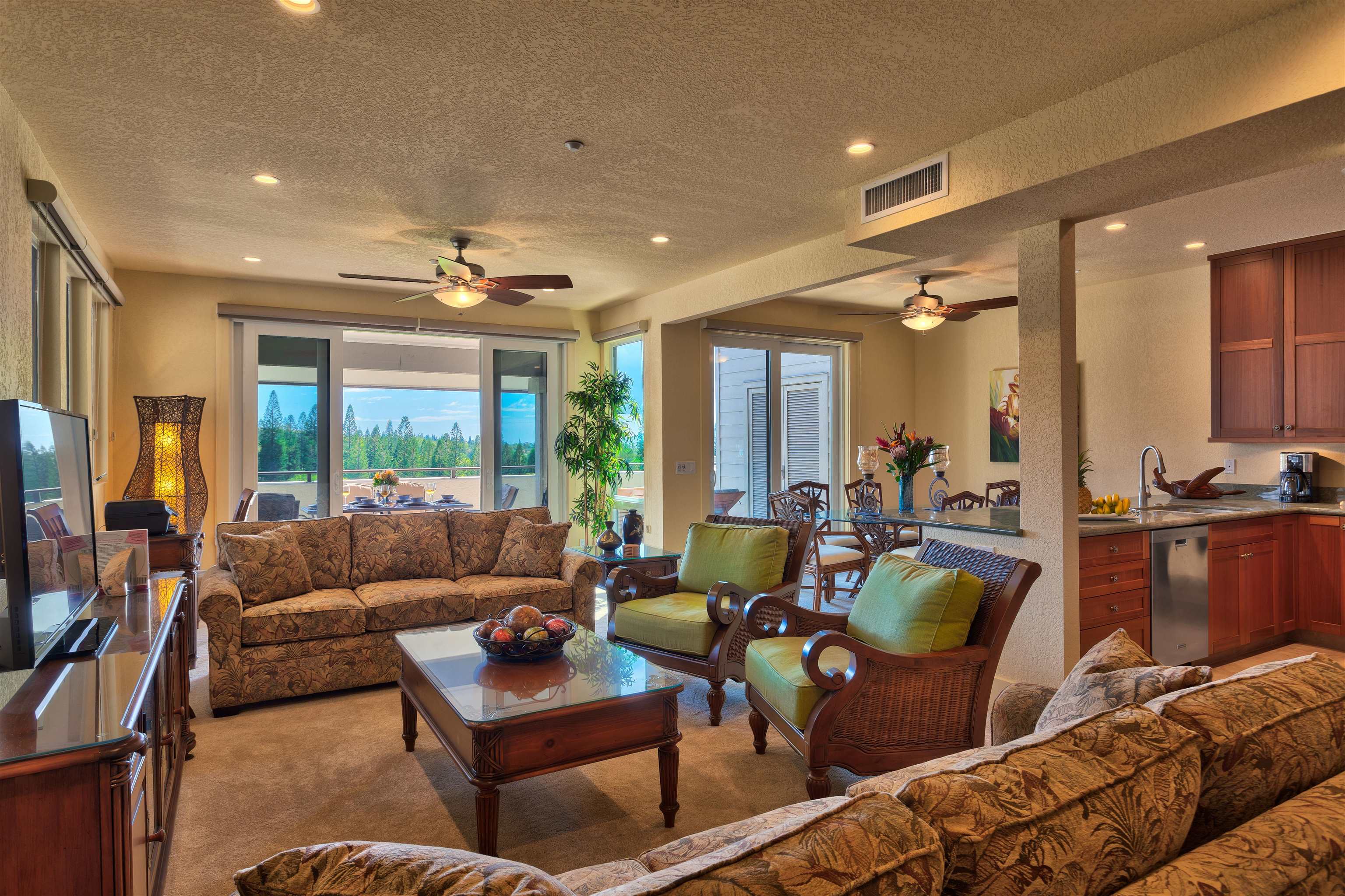 500 Kapalua Dr Property Photo 4