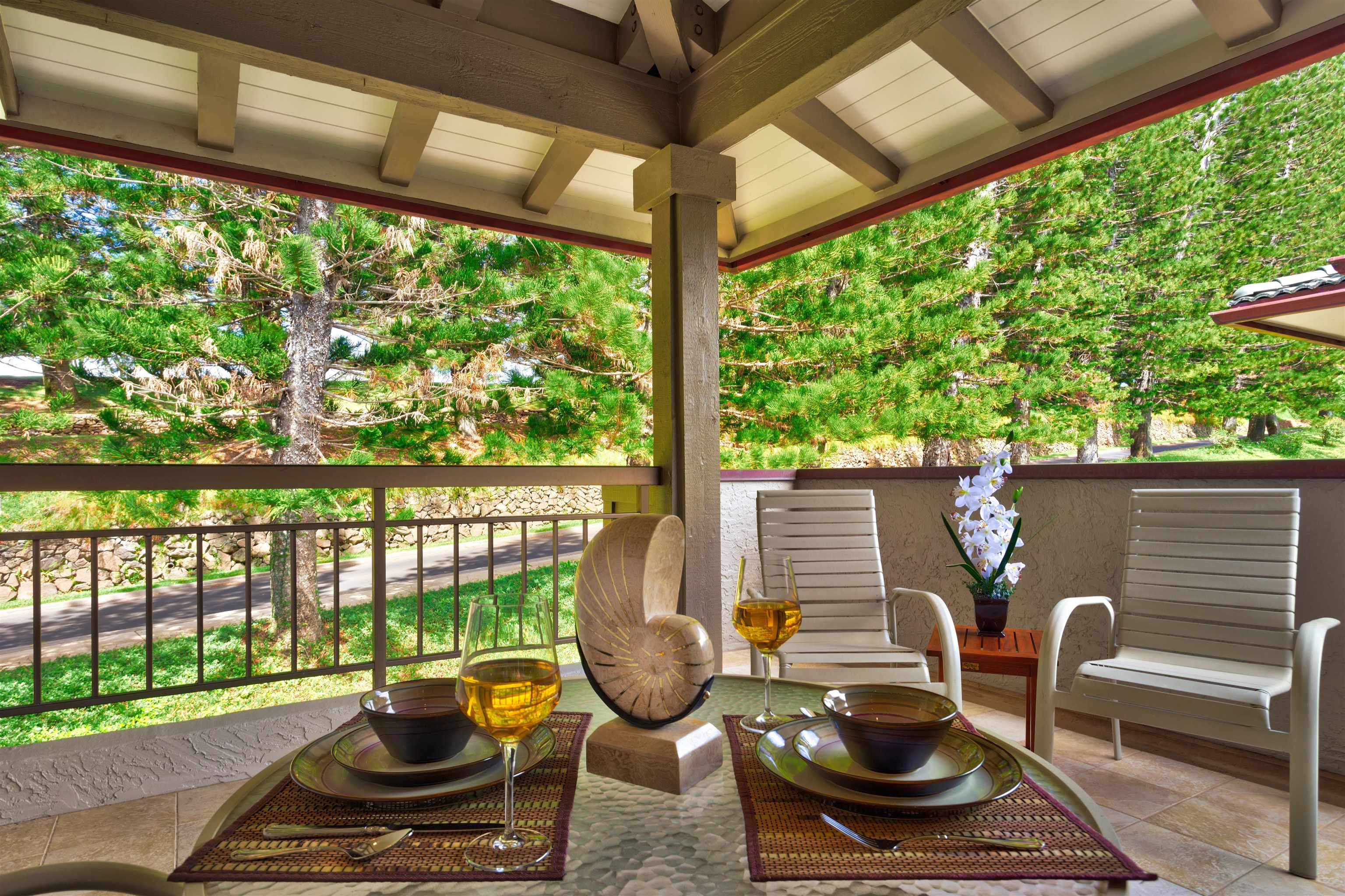 500 Kapalua Dr Property Photo 18