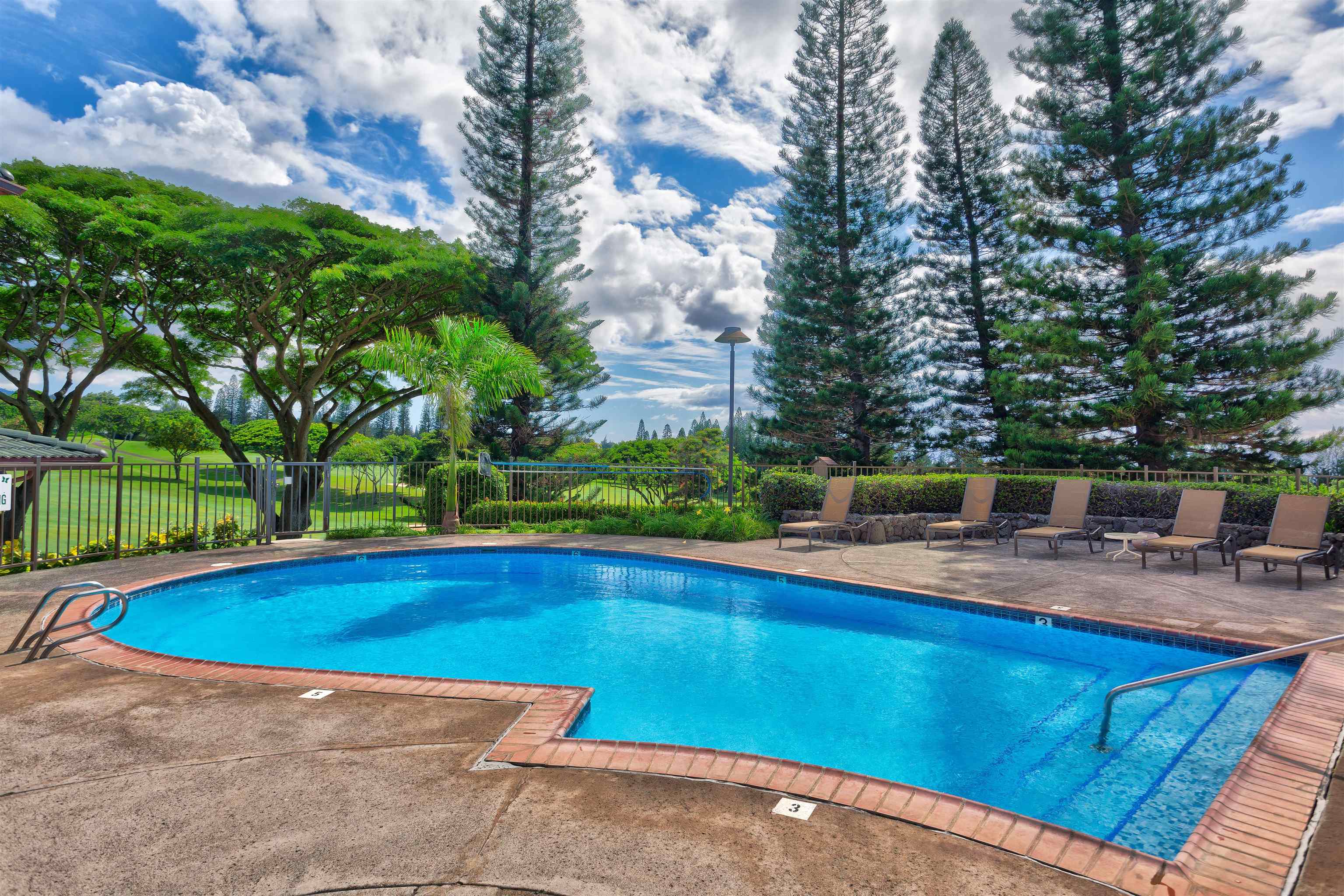 500 Kapalua Dr Property Photo 19