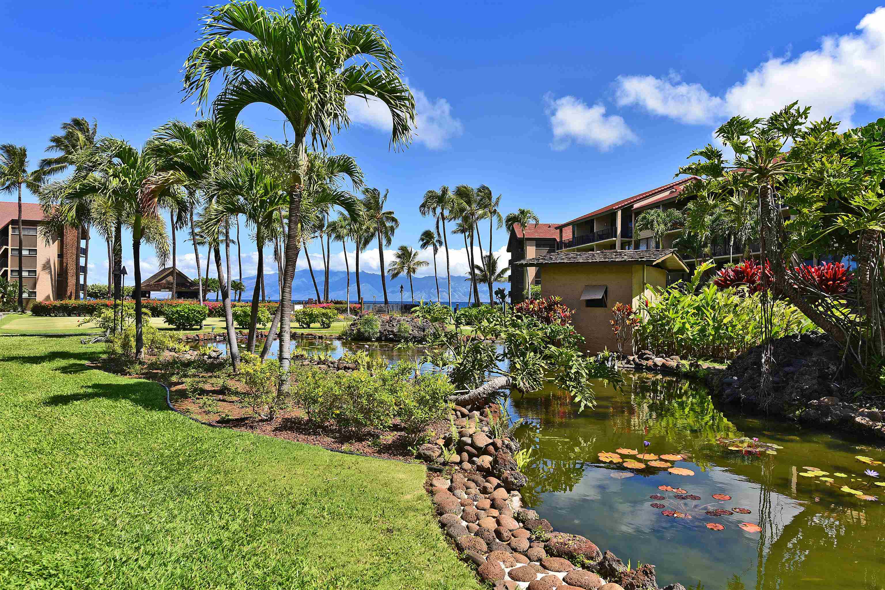 3543 Lower Honoapiilani Rd Property Photo 1