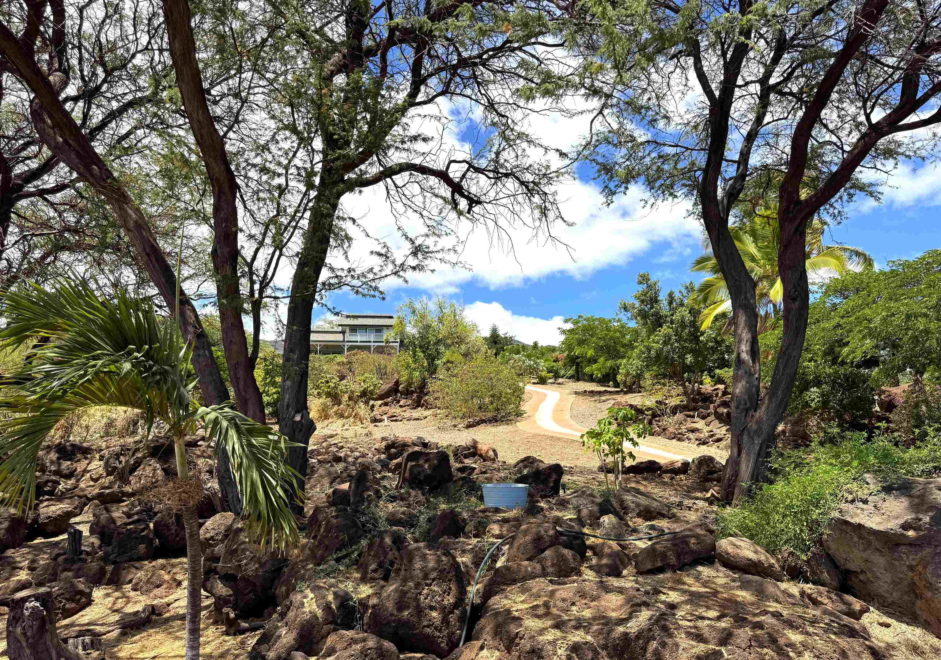 361 Onioni Dr Property Photo 29