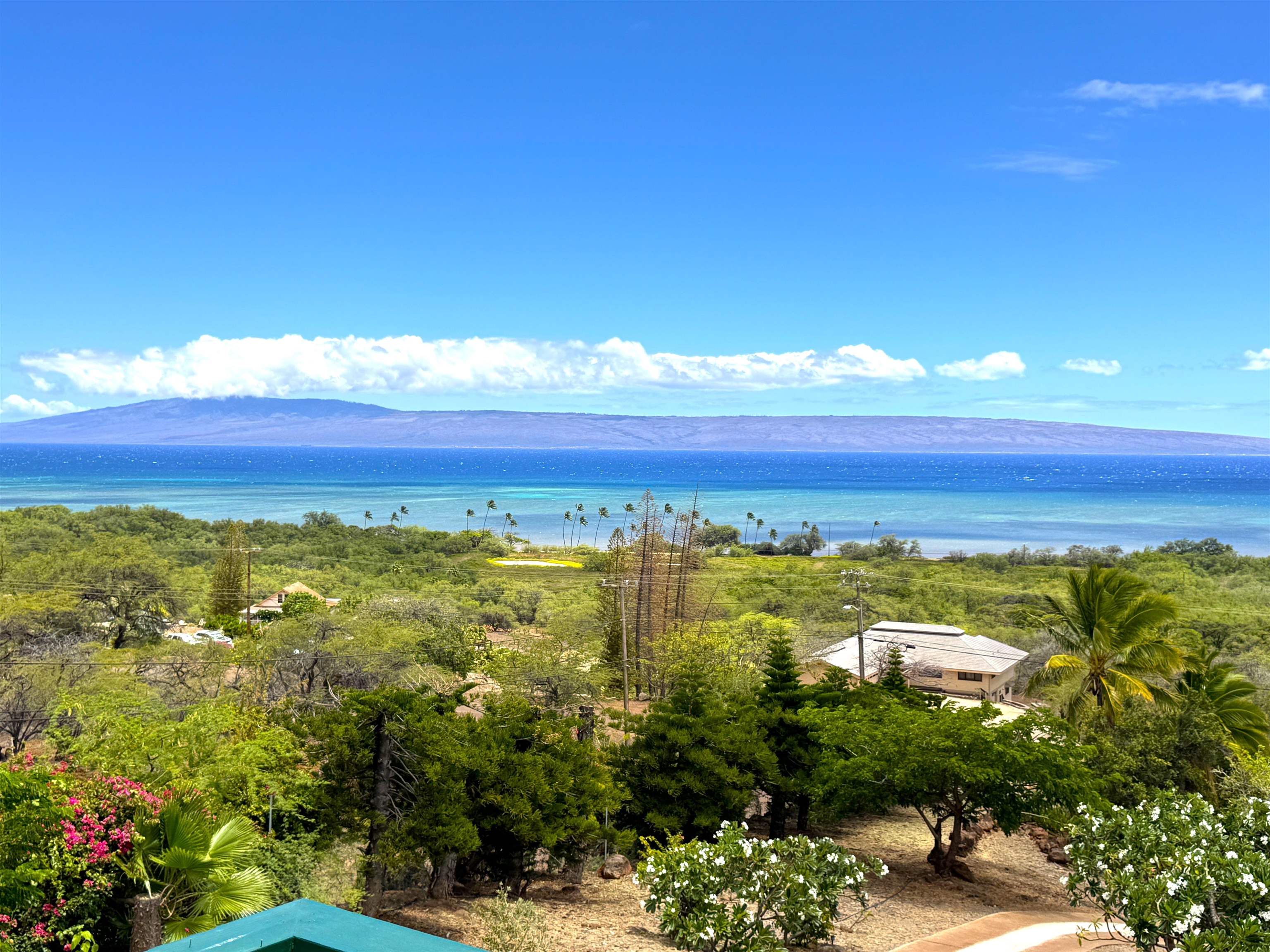 361 Onioni Dr Property Photo 30