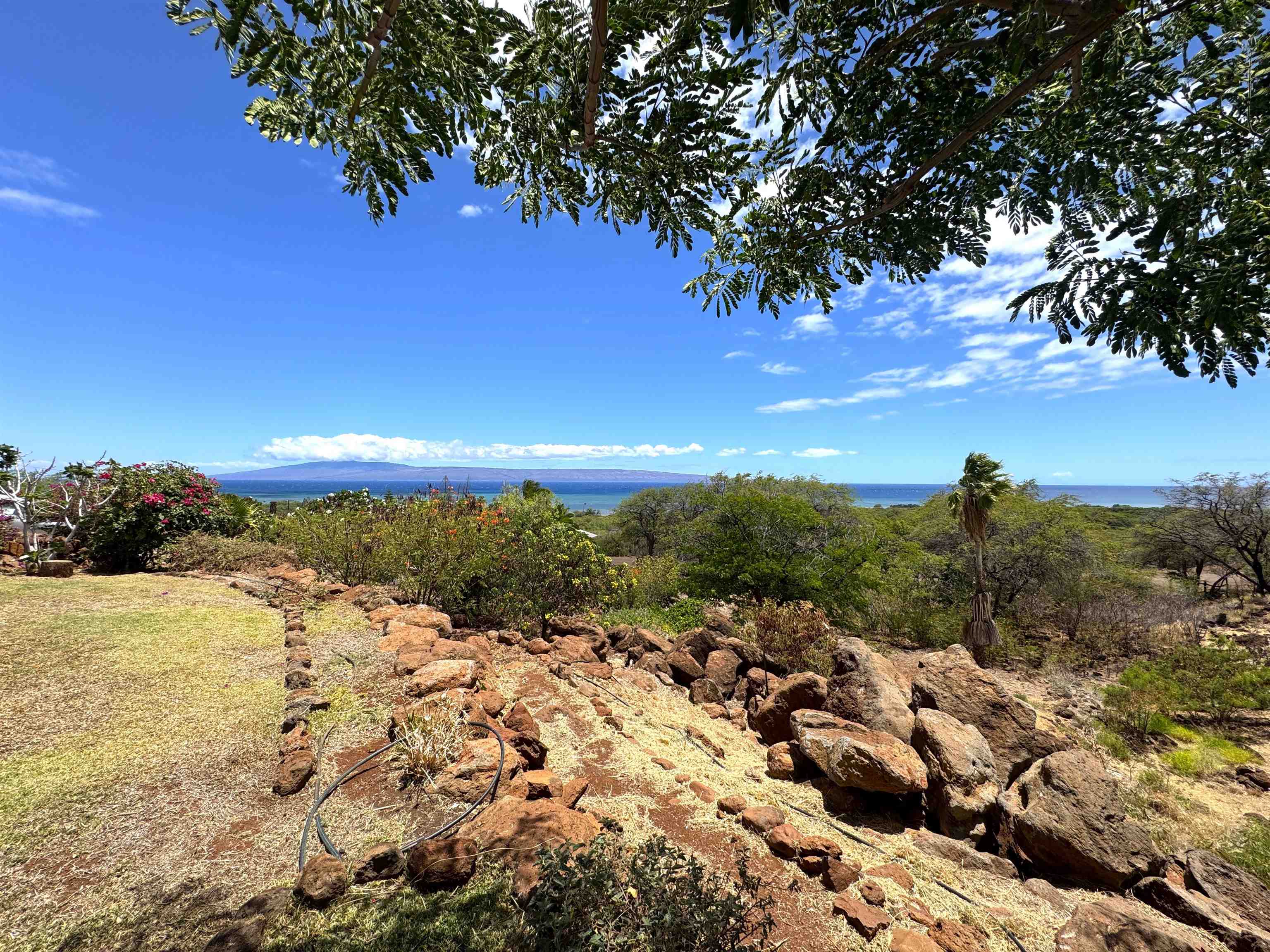 361 Onioni Dr Property Photo 31