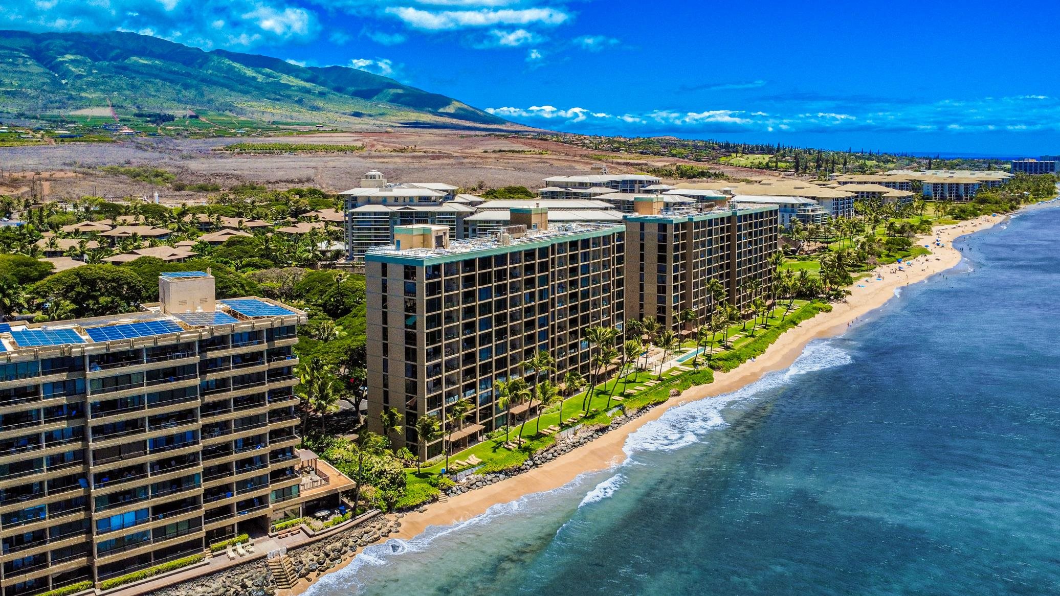 110 Kaanapali Shores Pl Property Photo 26