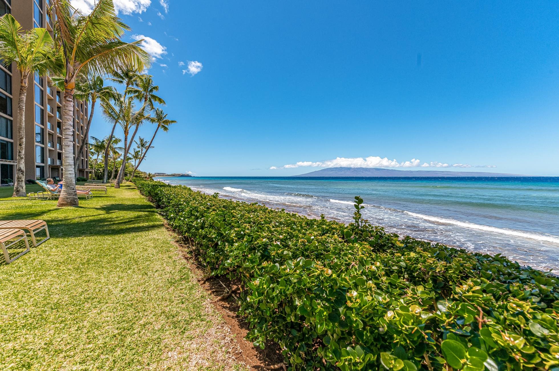 110 Kaanapali Shores Pl Property Photo 33